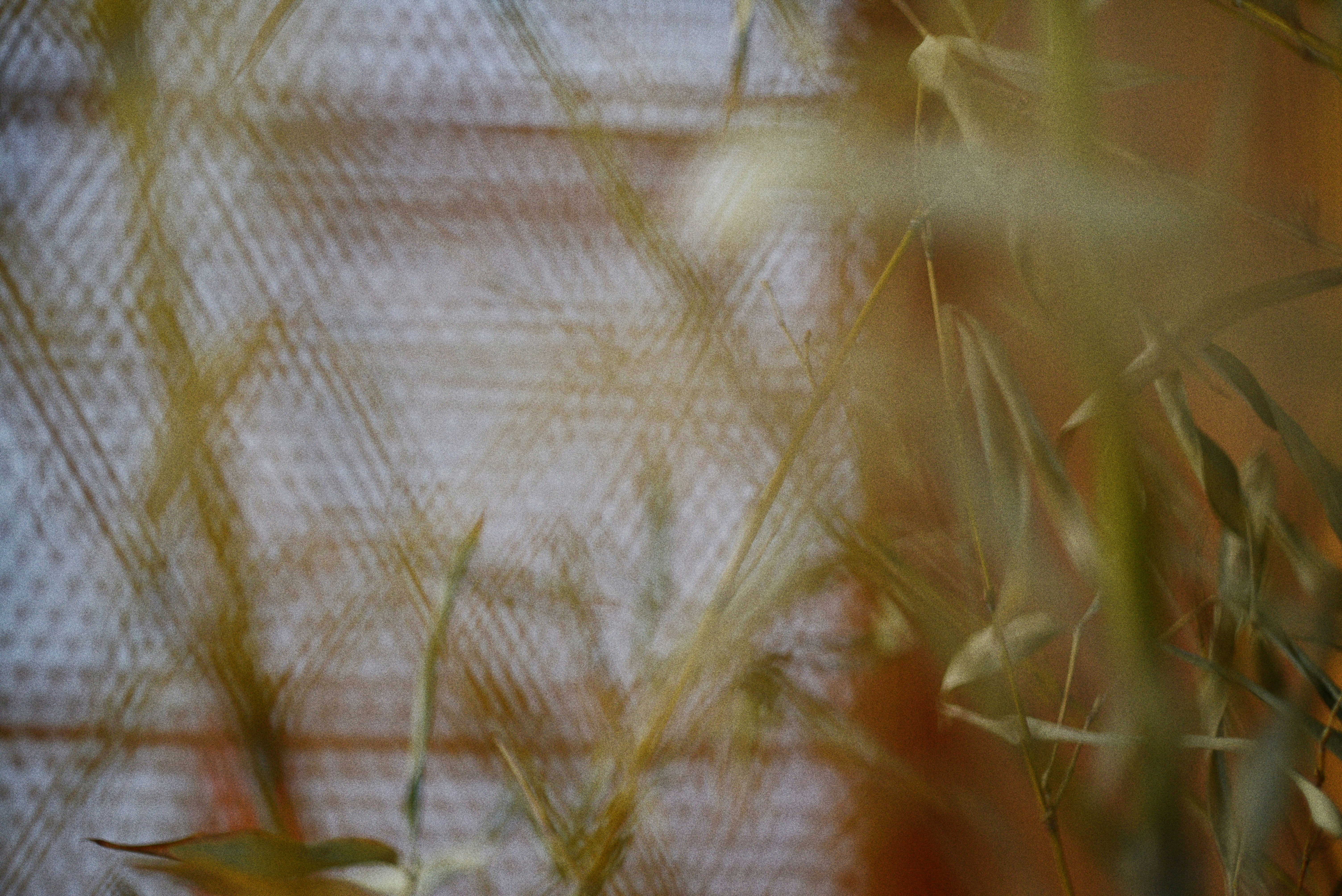 Photo by cherstve_pechivo