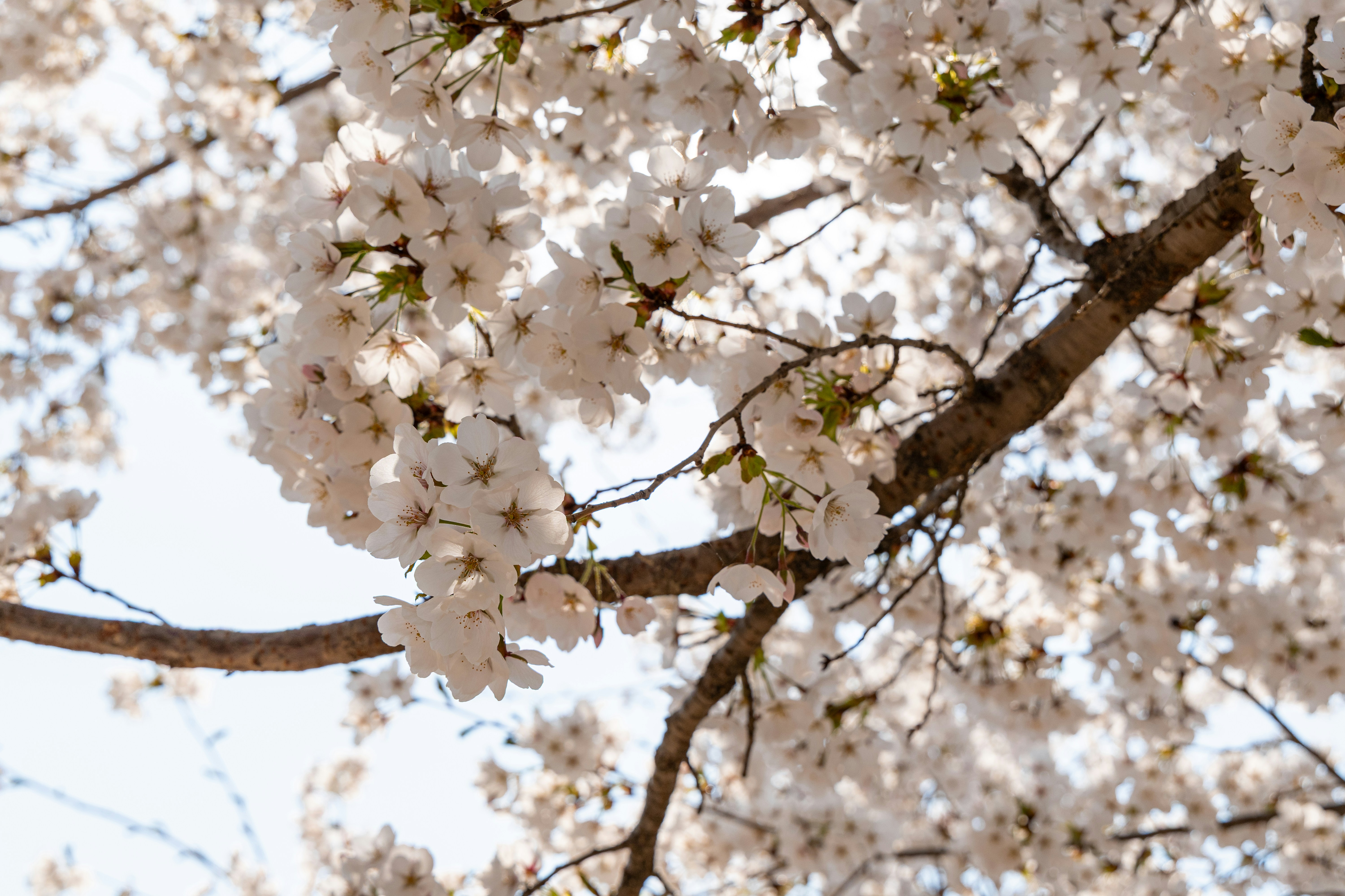 Photo by seoul_lover_lily