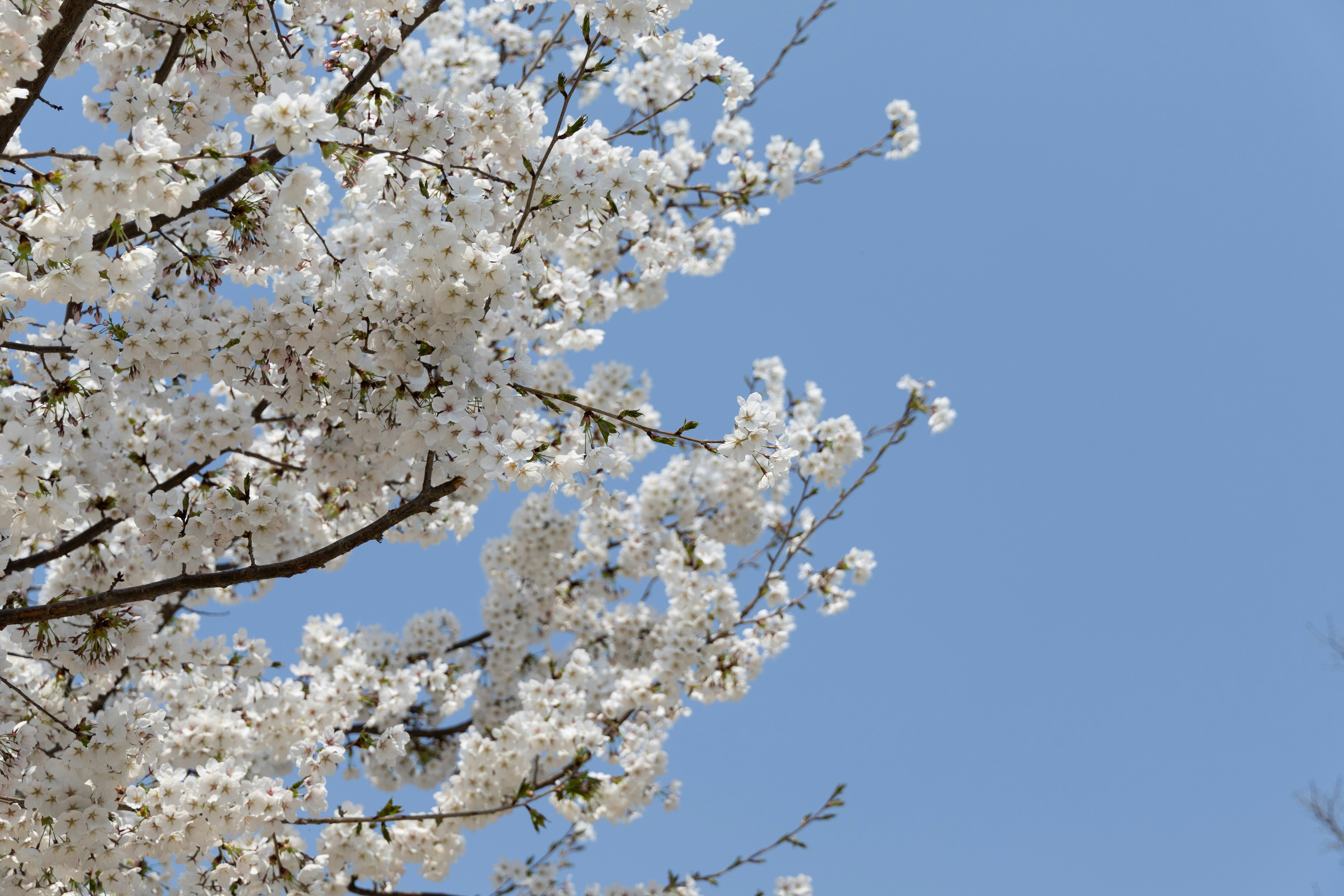 Photo by seoul_lover_lily