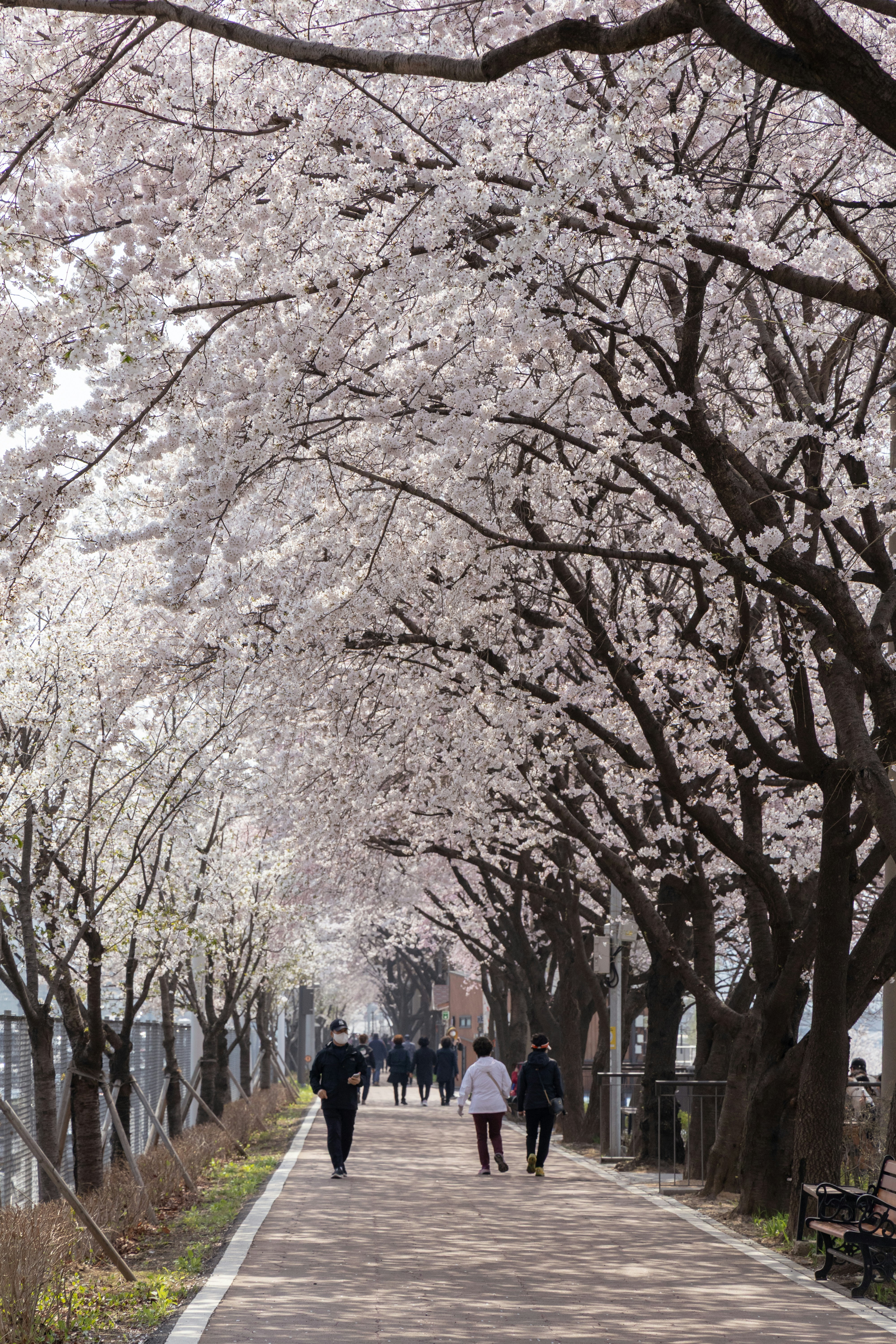 Photo by seoul_lover_lily