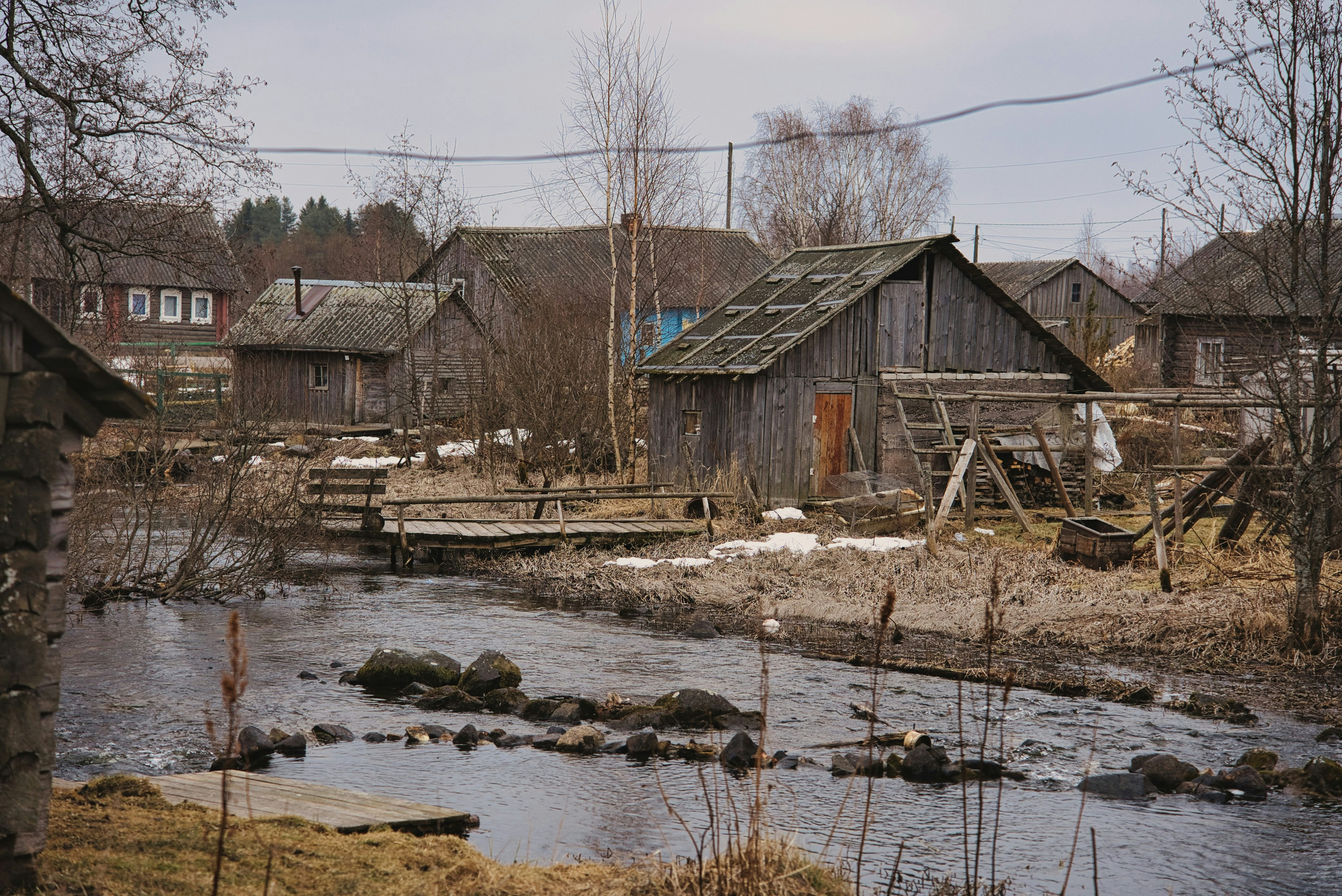 Nord kava