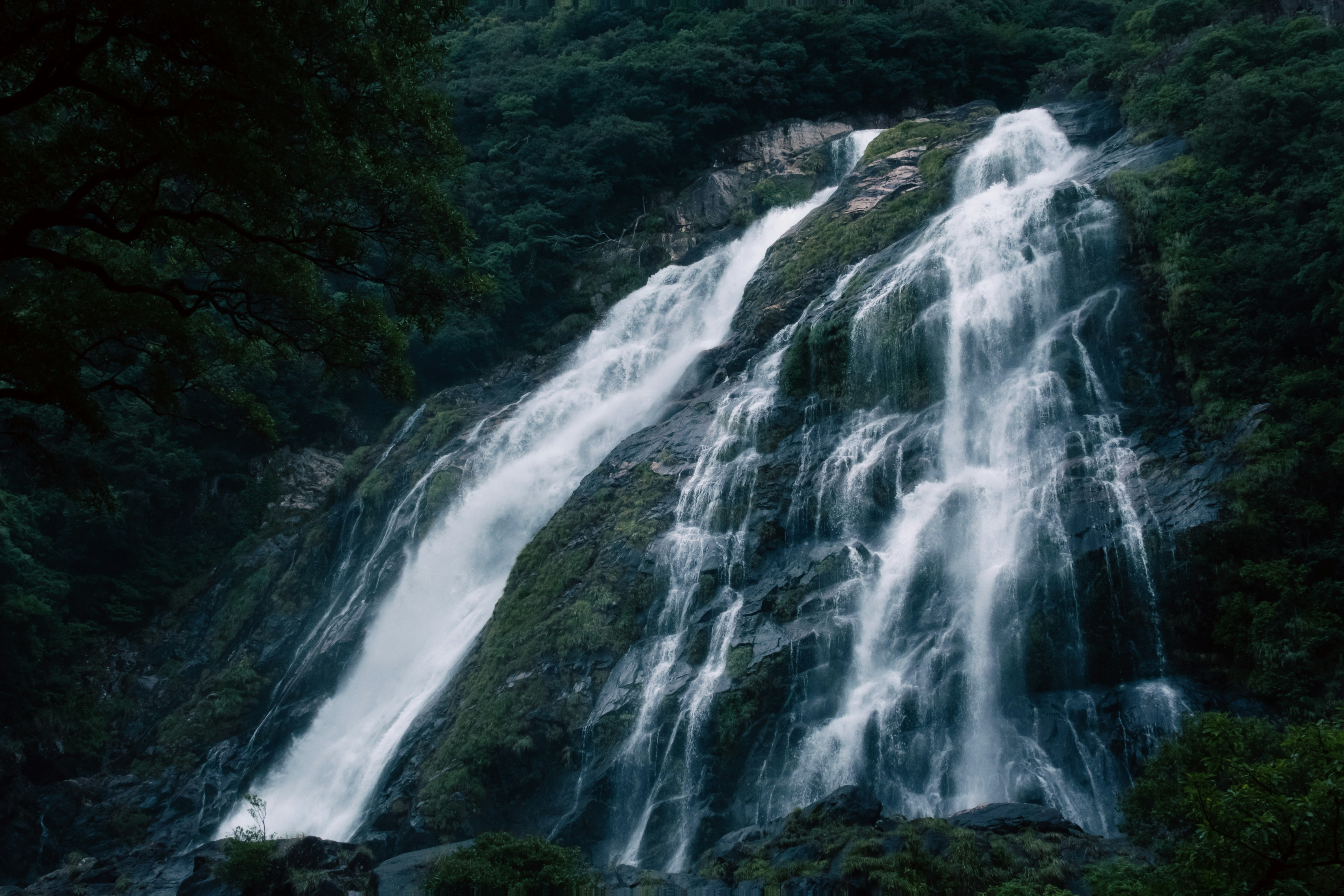 Photo by creatvisuals