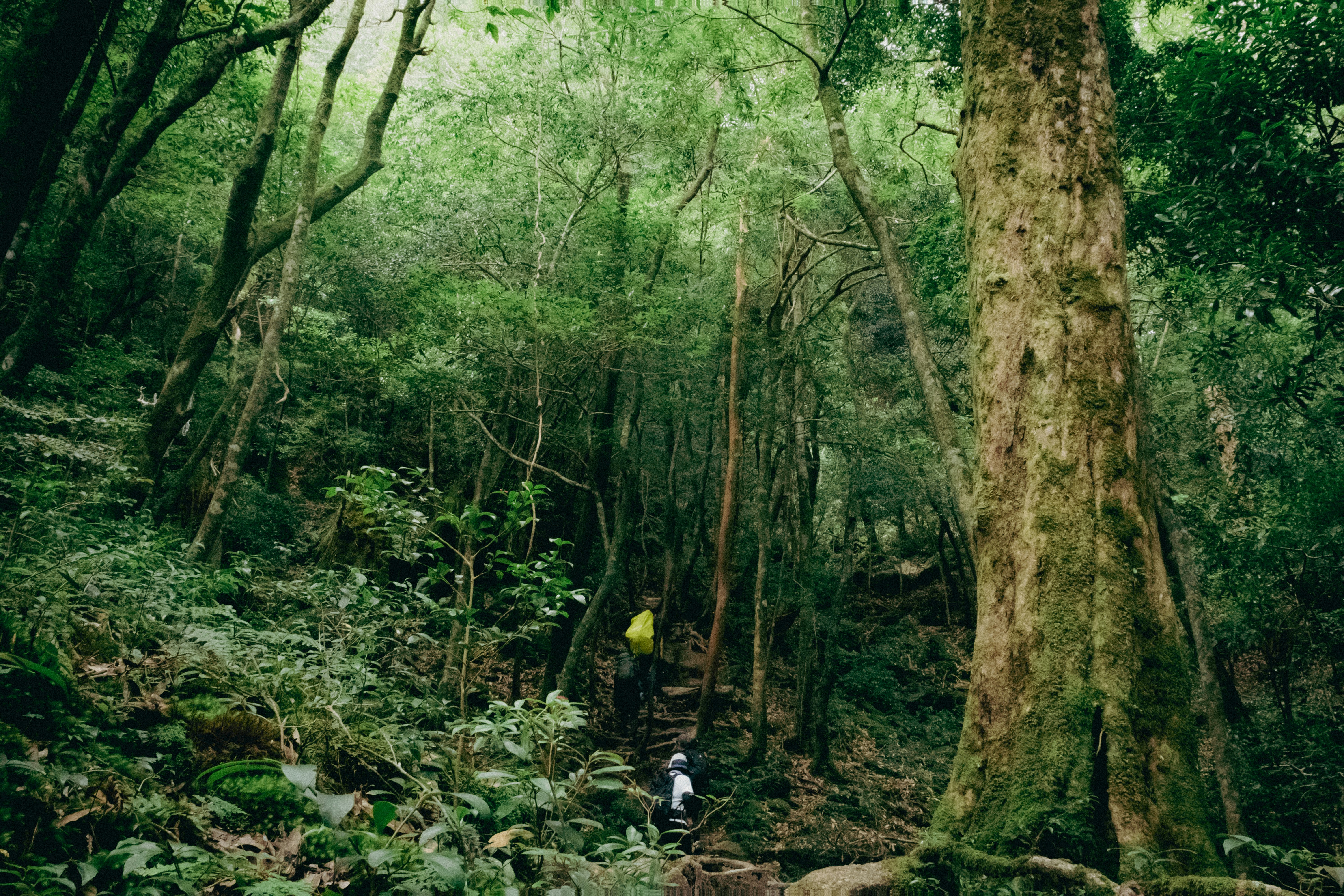 Photo by creatvisuals