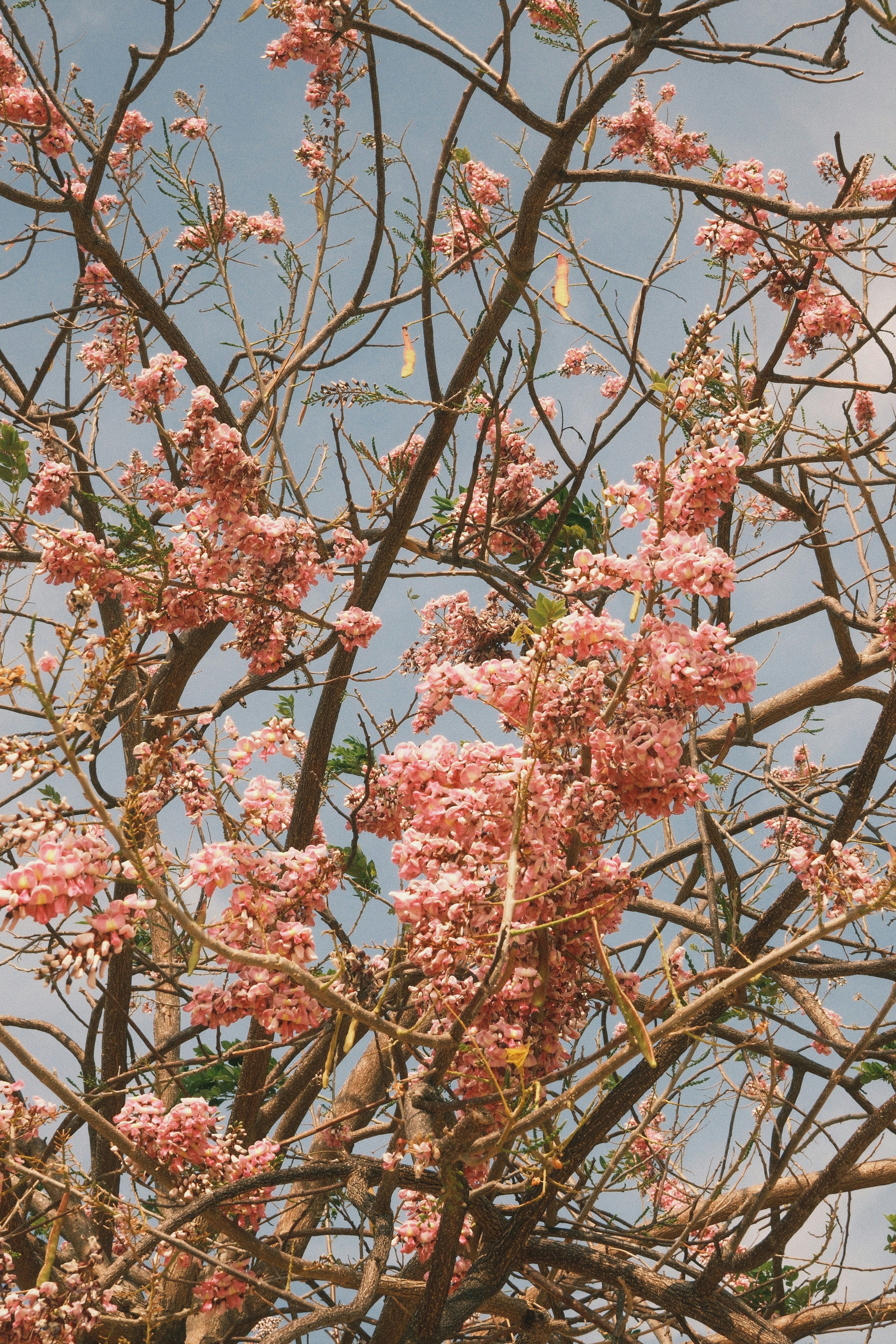 Photo by natalienpngoc