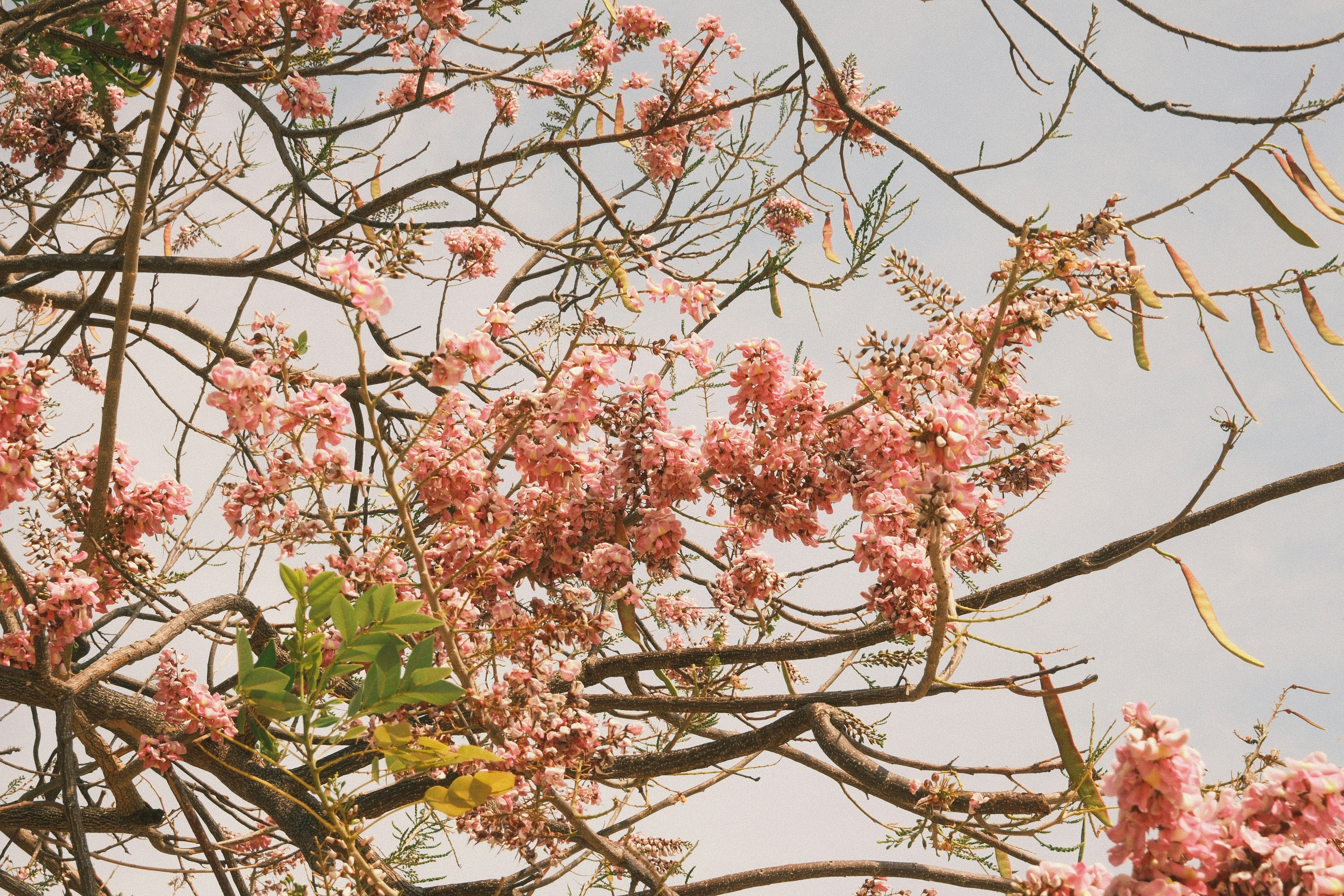 Photo by natalienpngoc