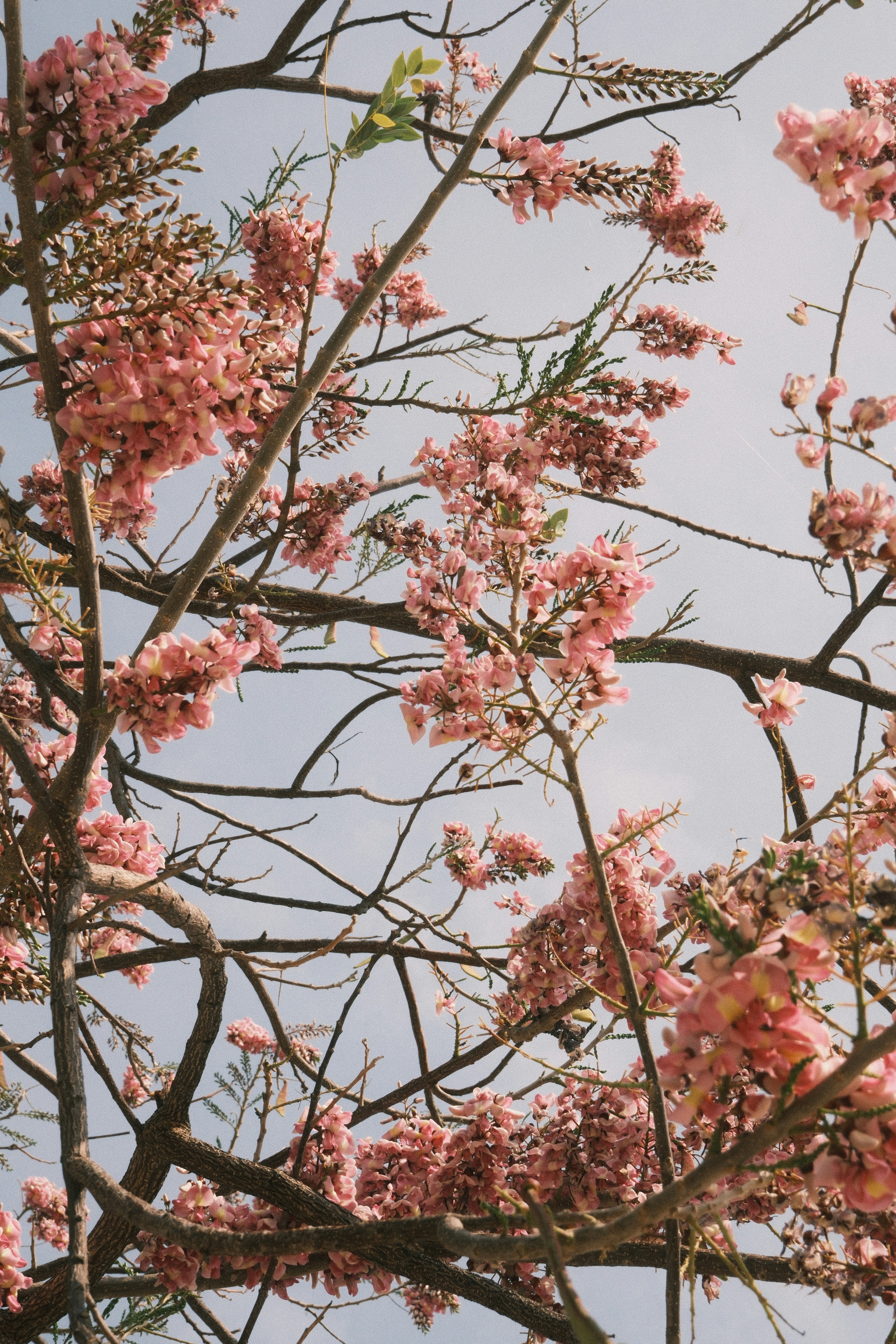 Photo by natalienpngoc