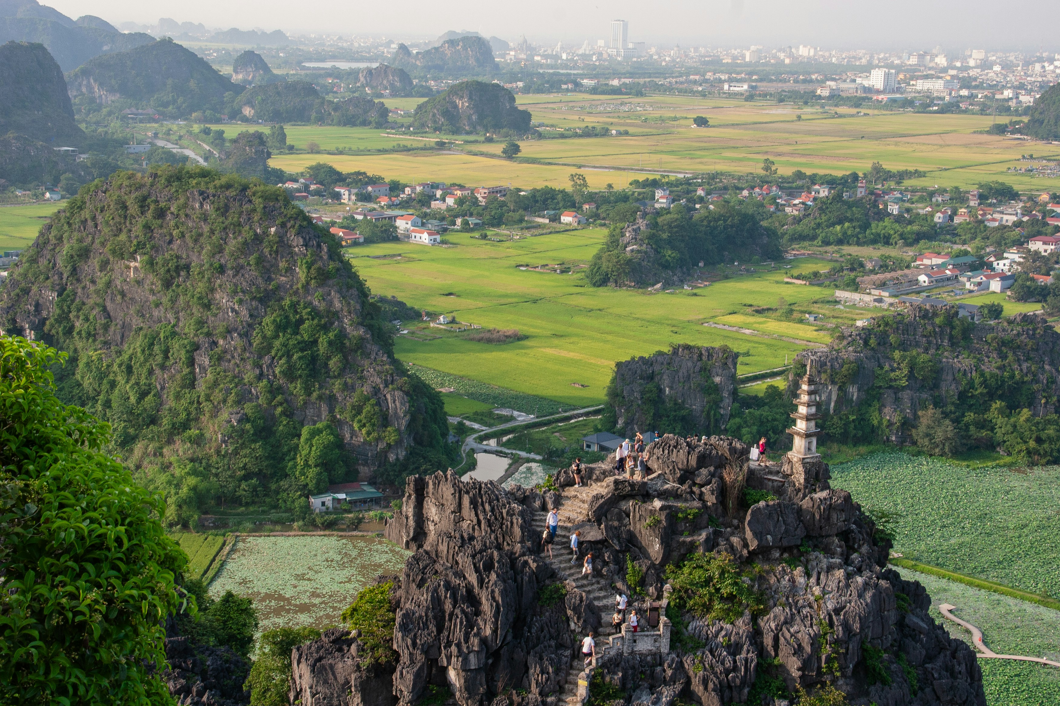 Limestone karsts and rice paddies in vietnam