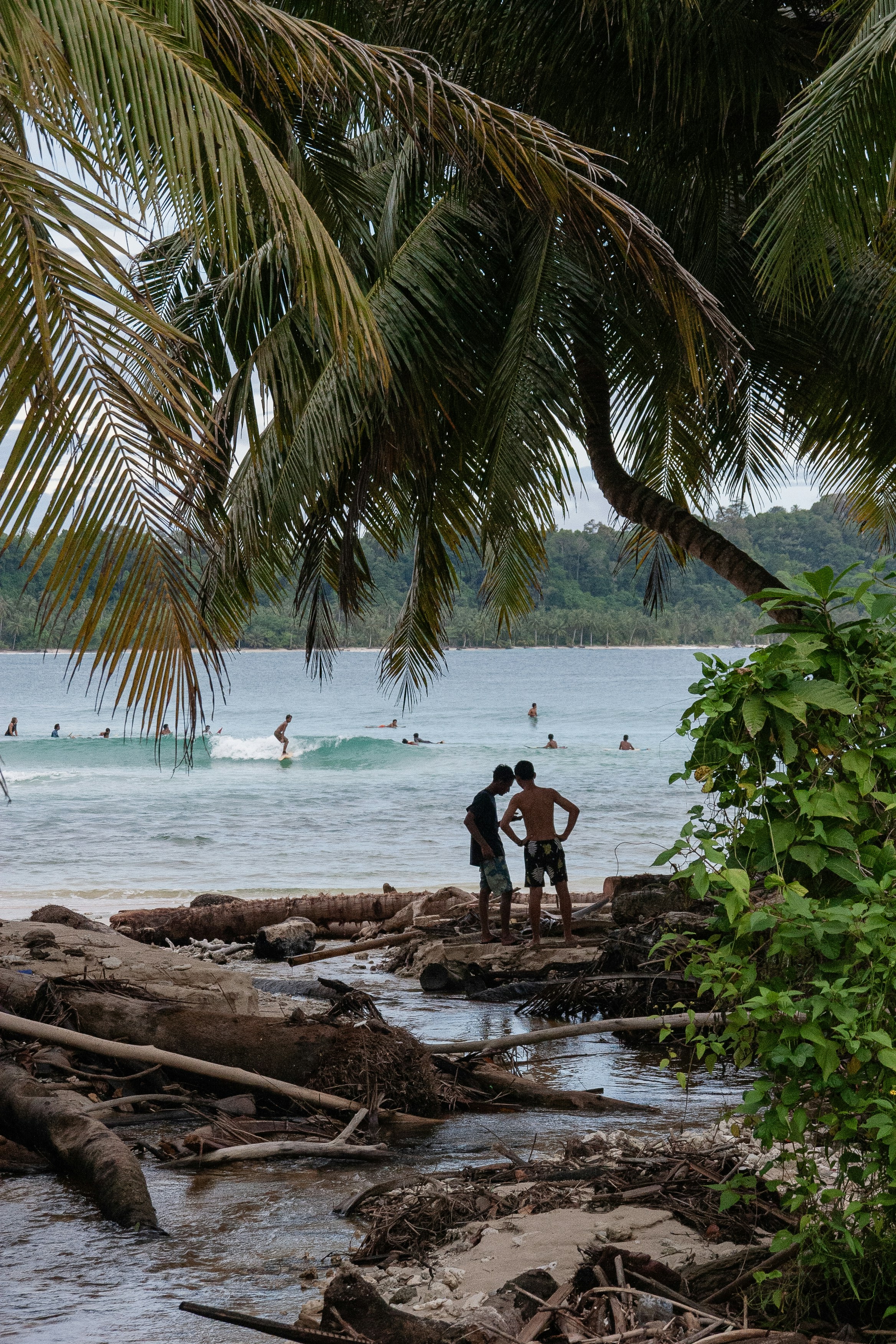 Two people stand on a rocky shore with palm trees.