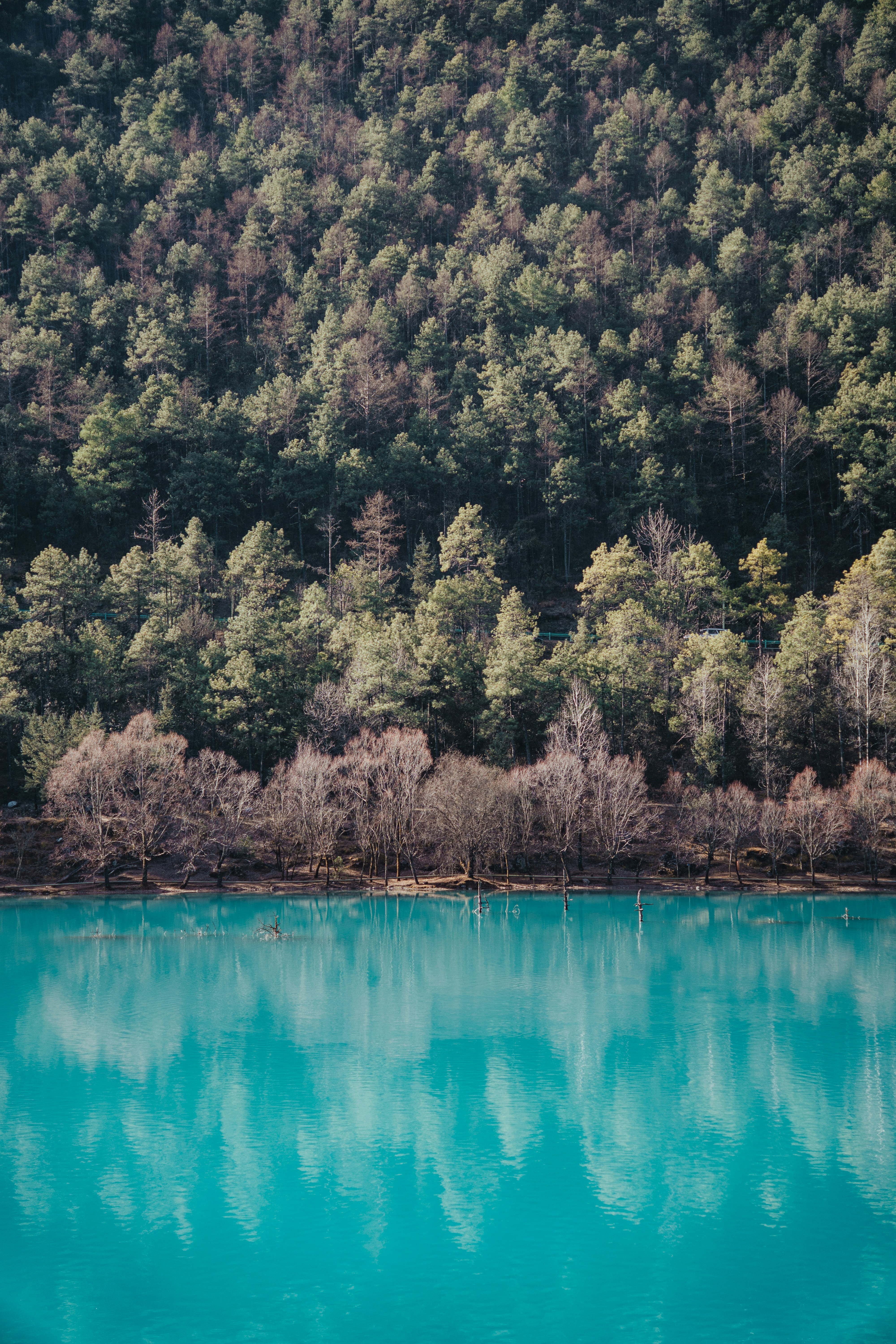 El lago turquesa refleja un bosque denso en una colina.