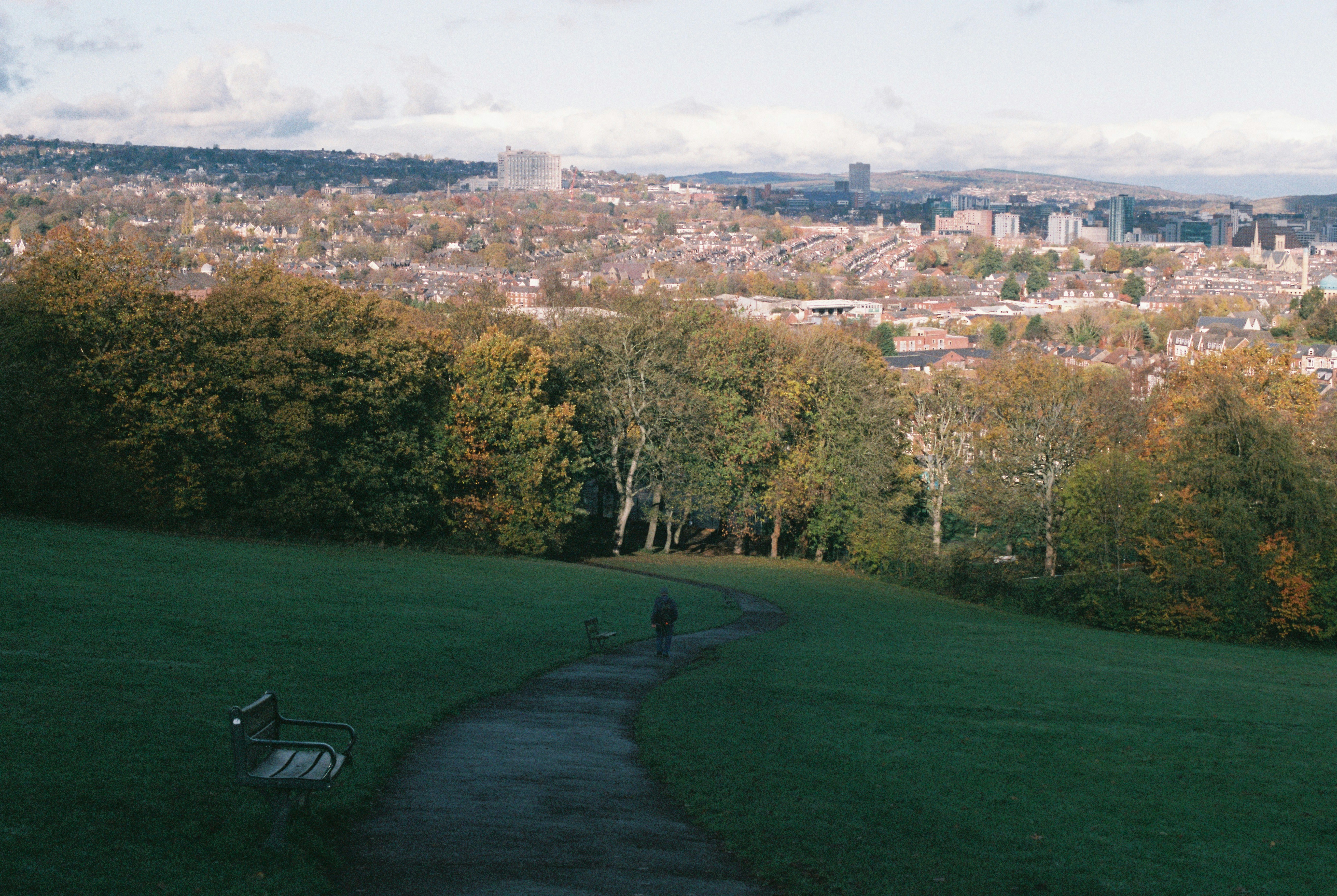 A park path leads towards a distant city skyline.