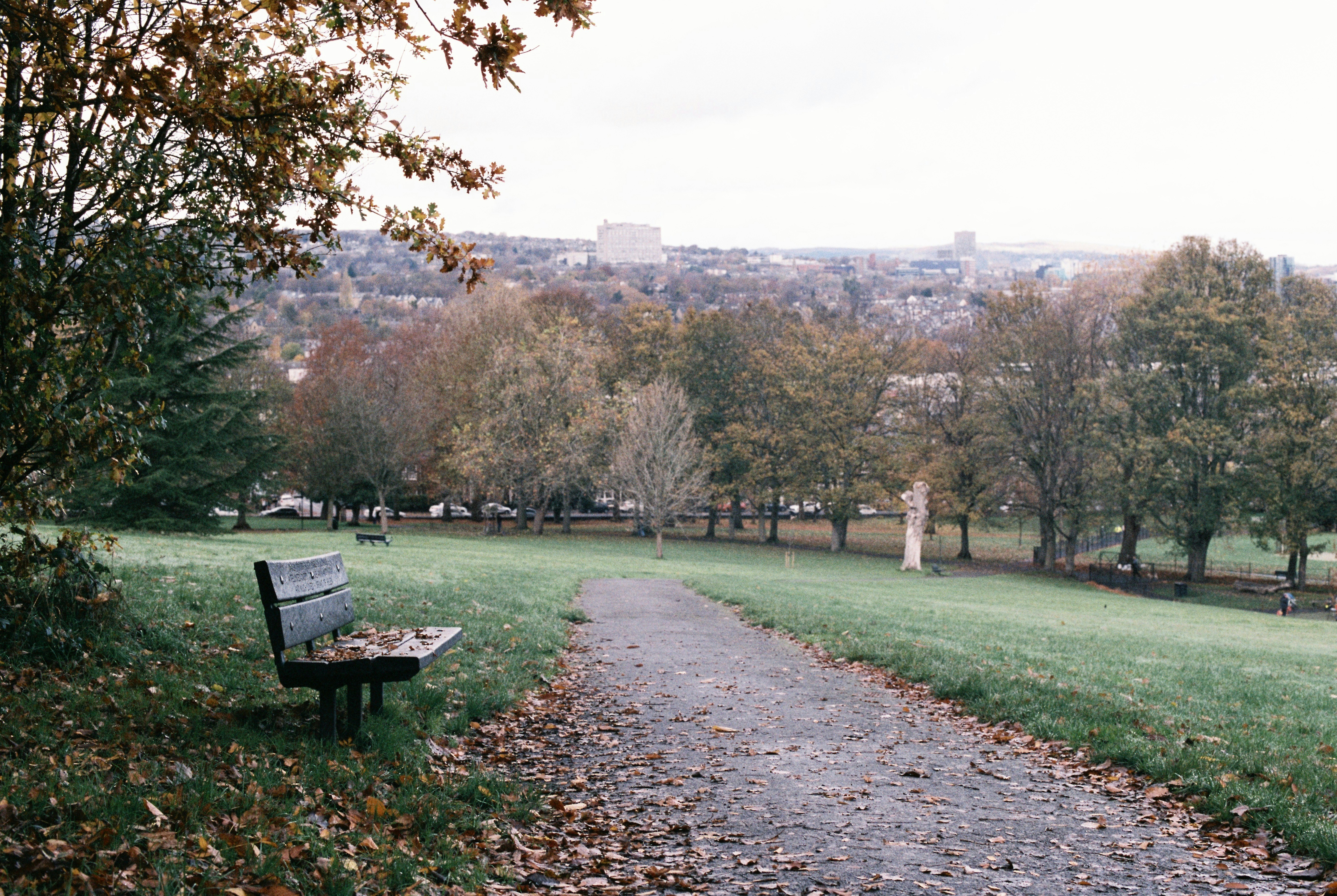 High Hazels Park