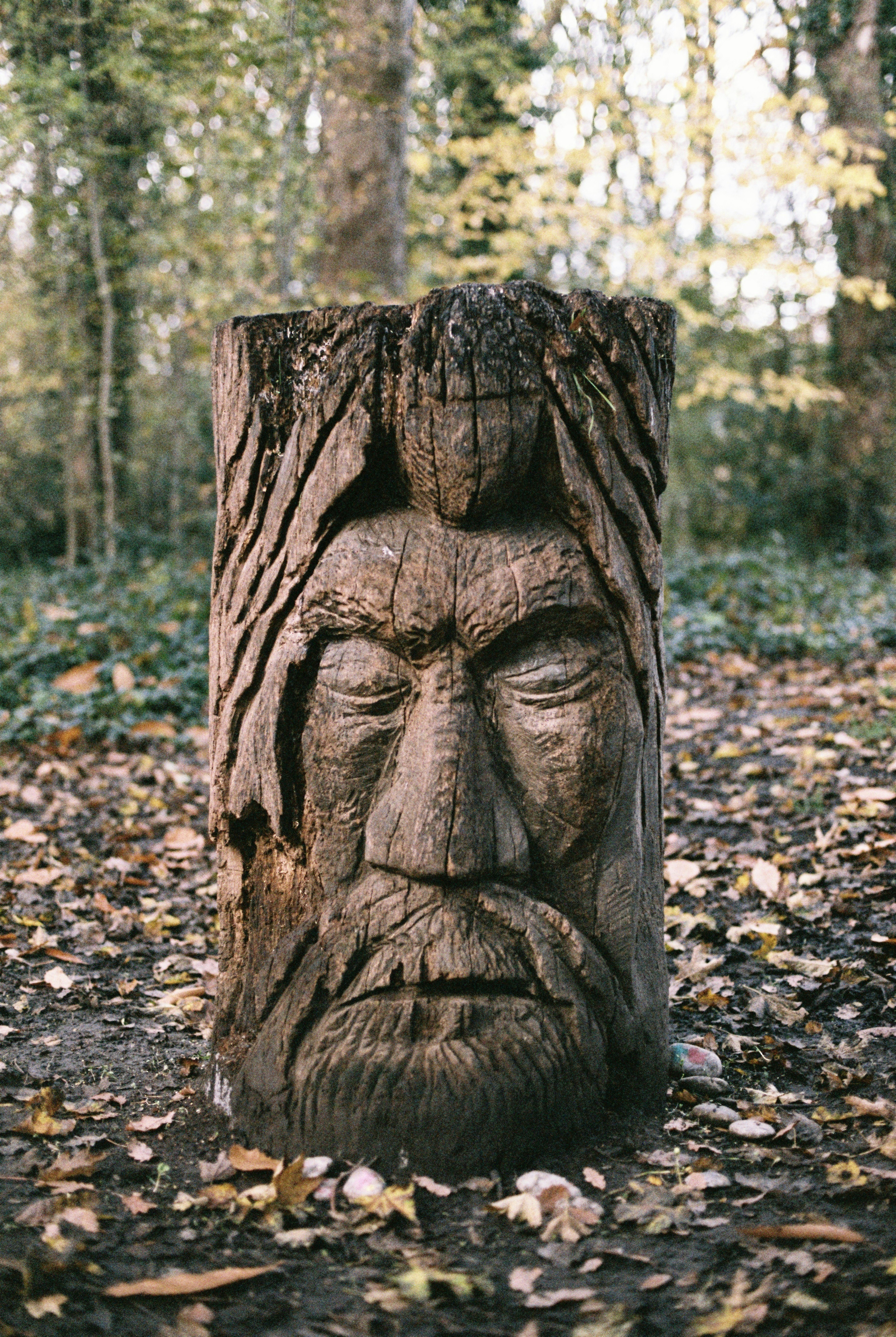 Carved Tree Stump Seat