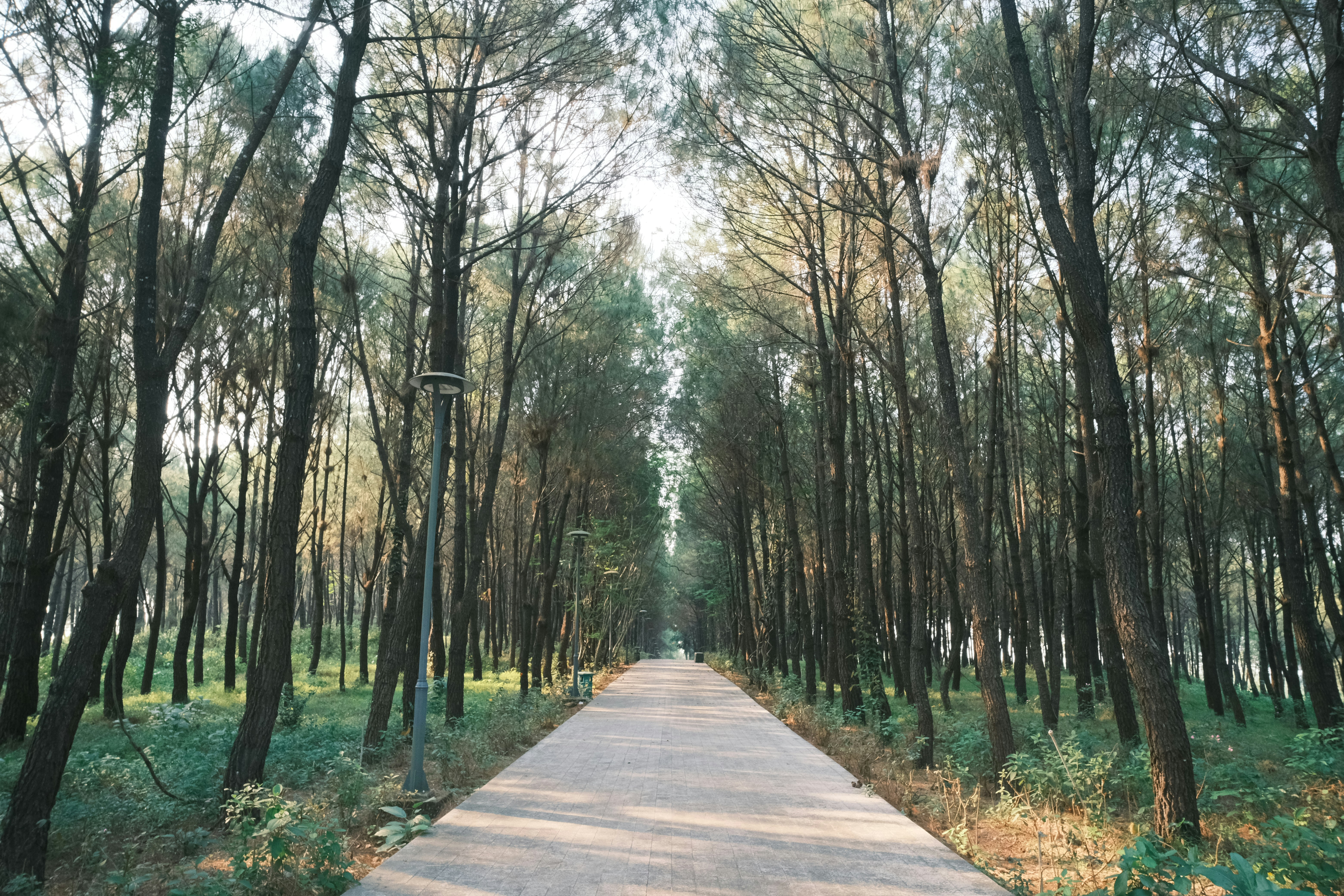 Photo by tutrananh109