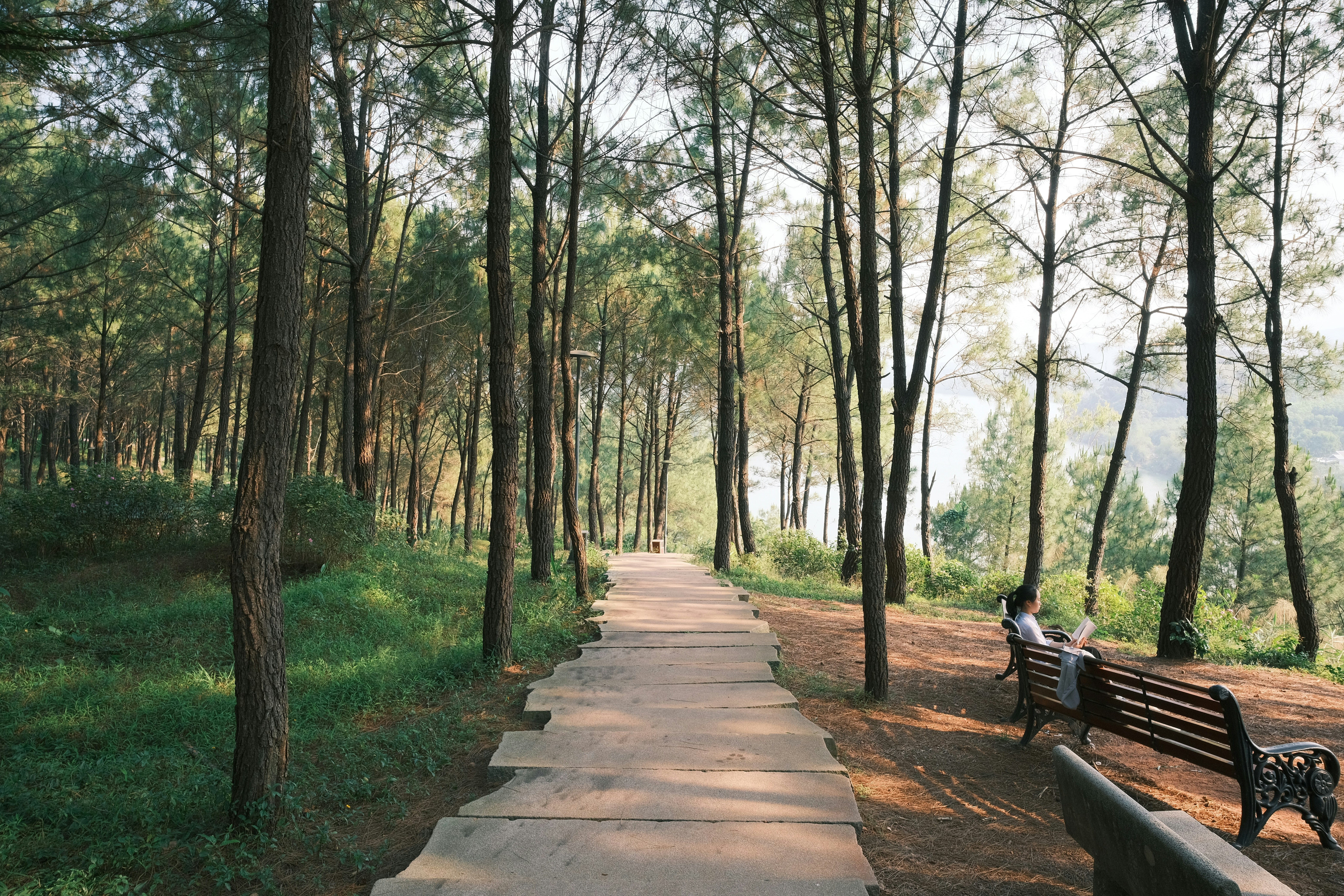 Memorial Park