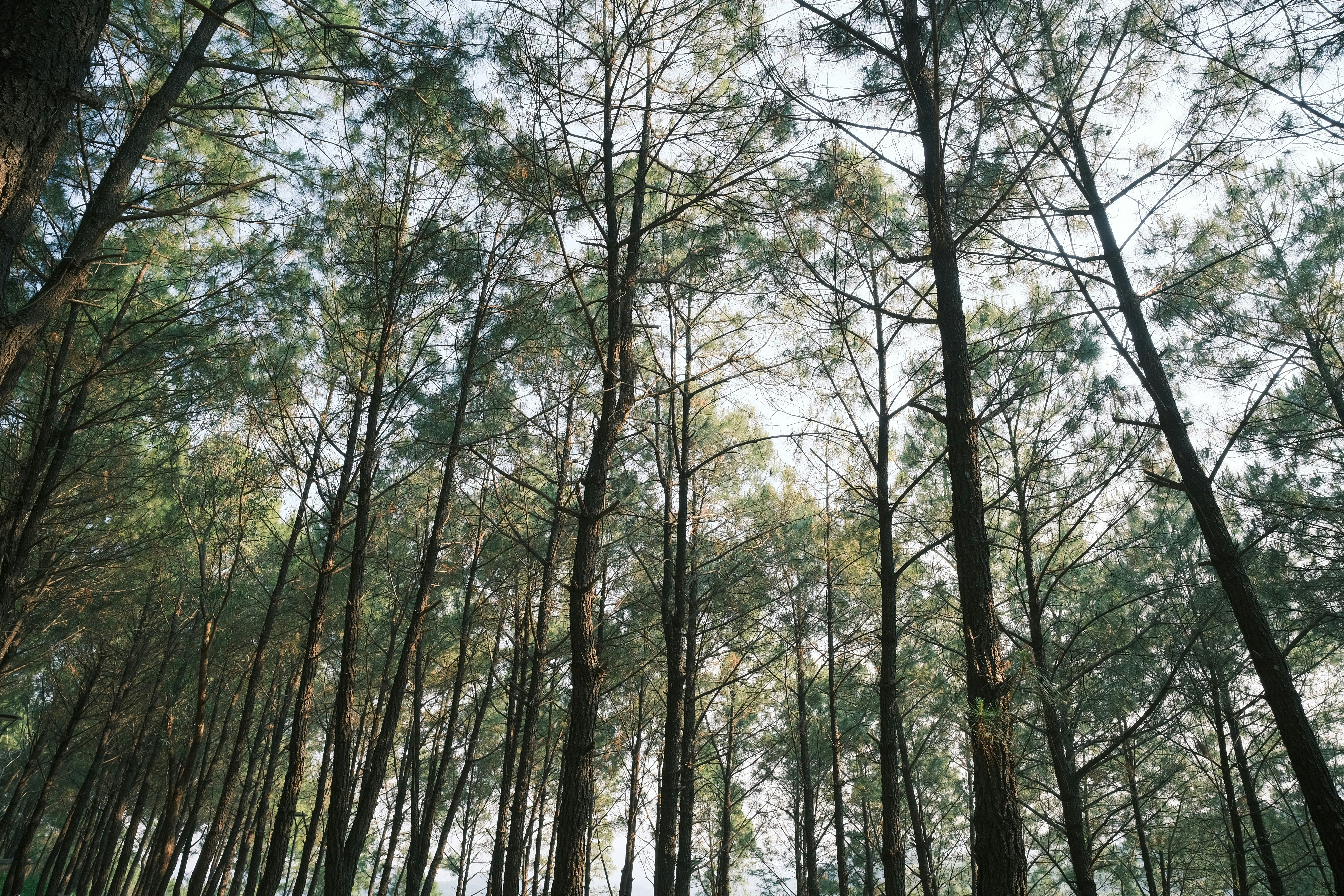 Photo by tutrananh109