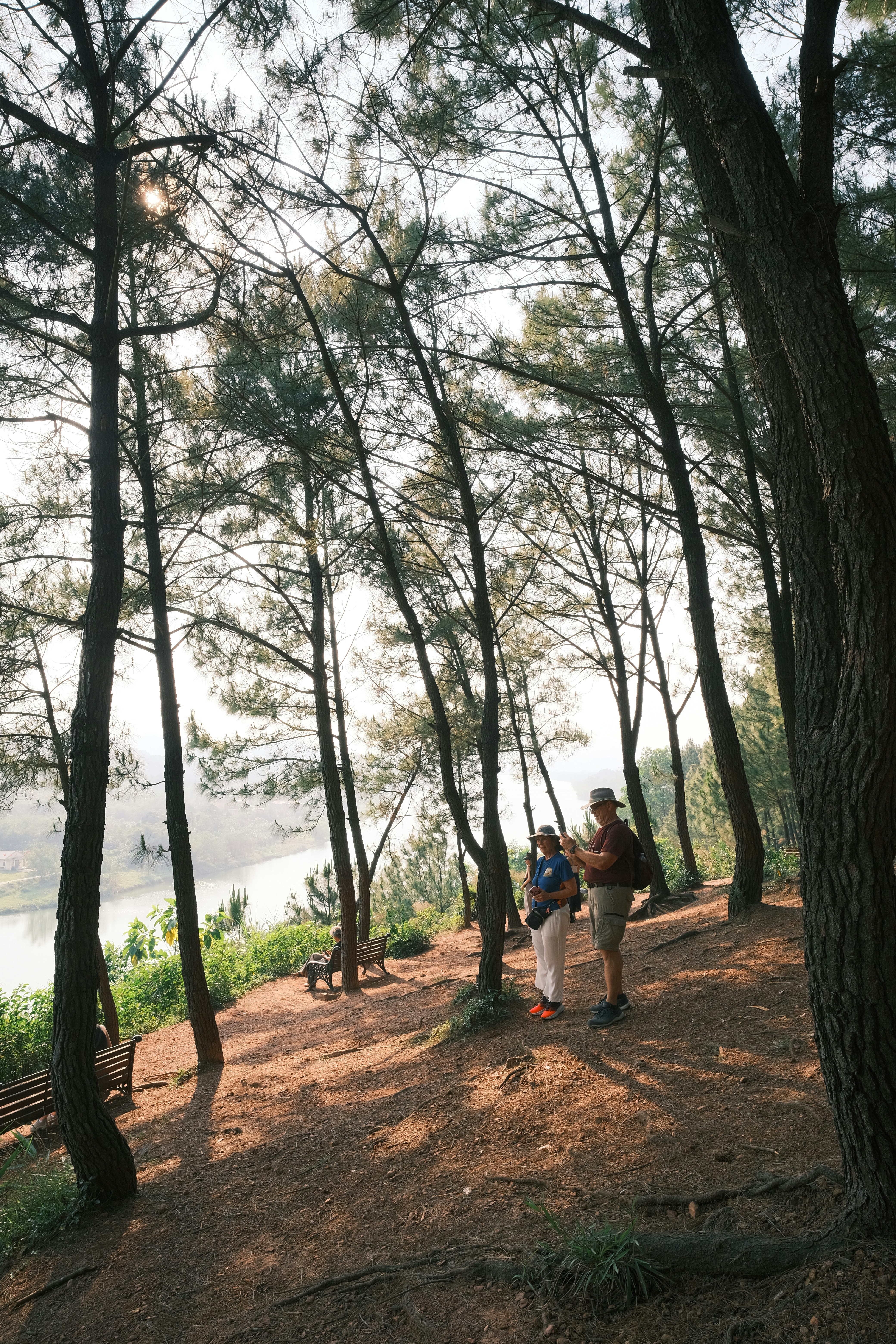family camping forest landscape, wallpaper, Camping with Kids: Essential Tips for Your First Trip 6