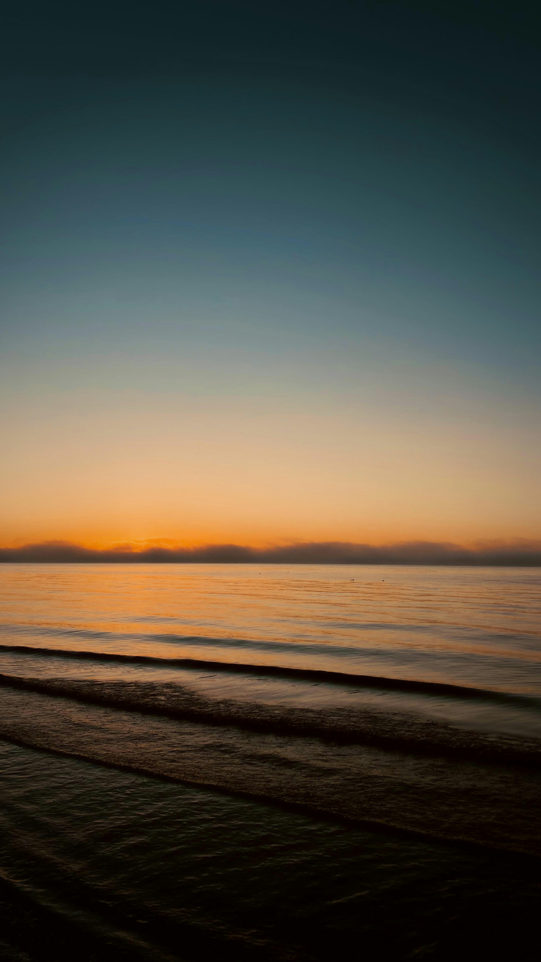Photo by ansisansis