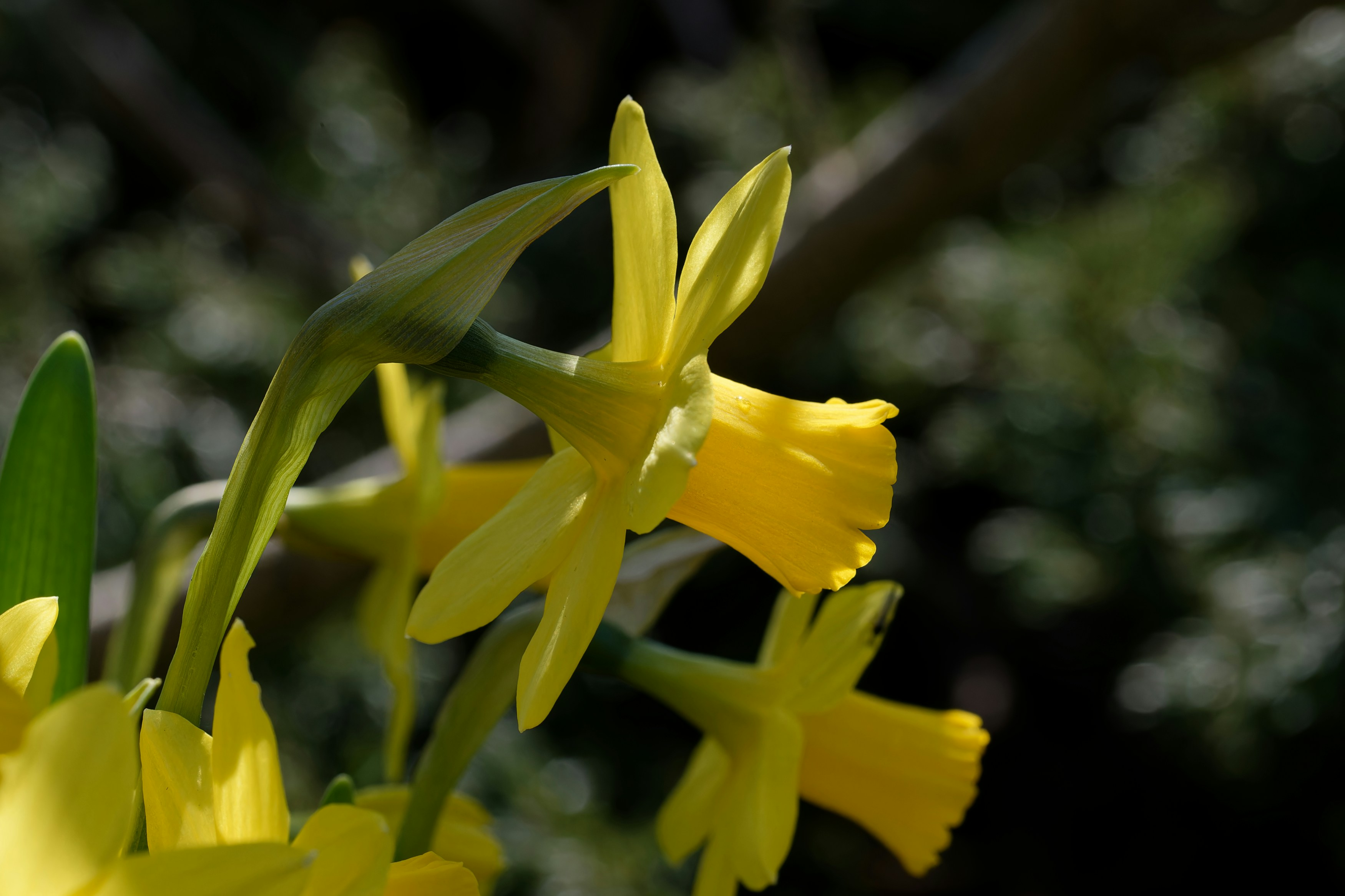 Photo by designbytholen