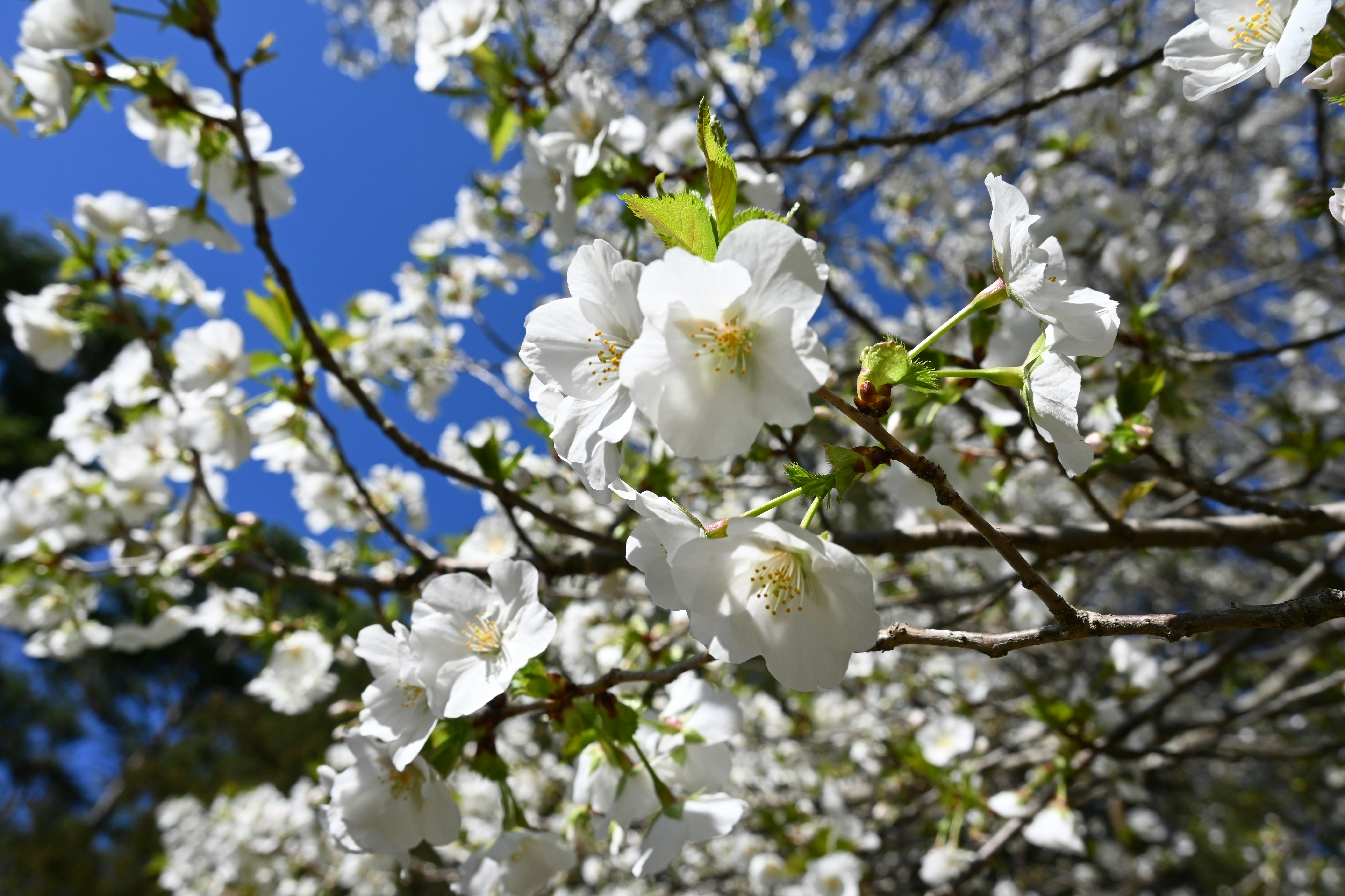 Photo by karolinabobek