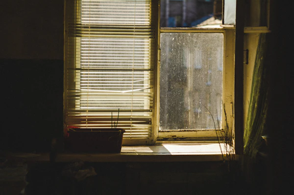 Window with blinds and a plant