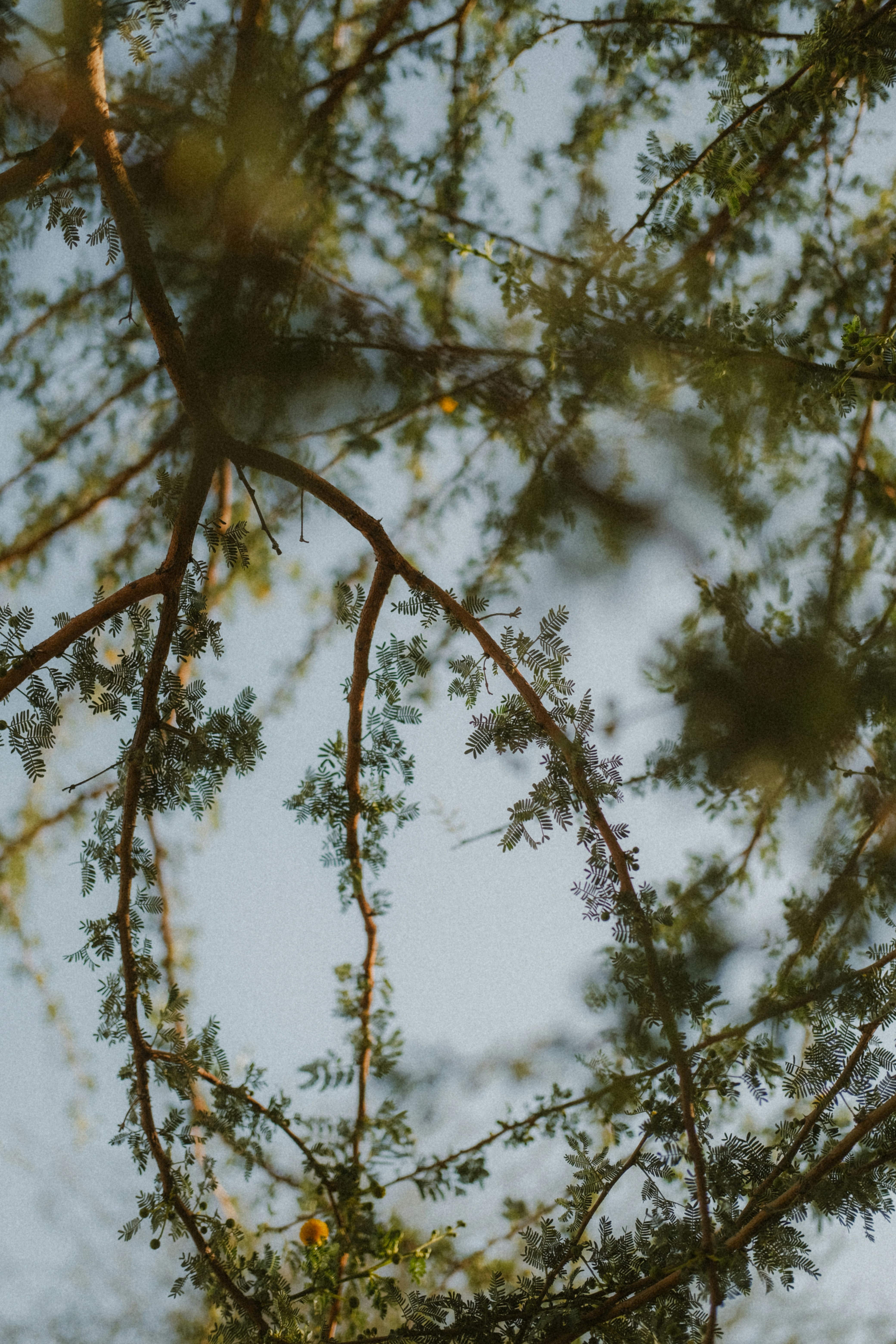 Photo by shetellsastory