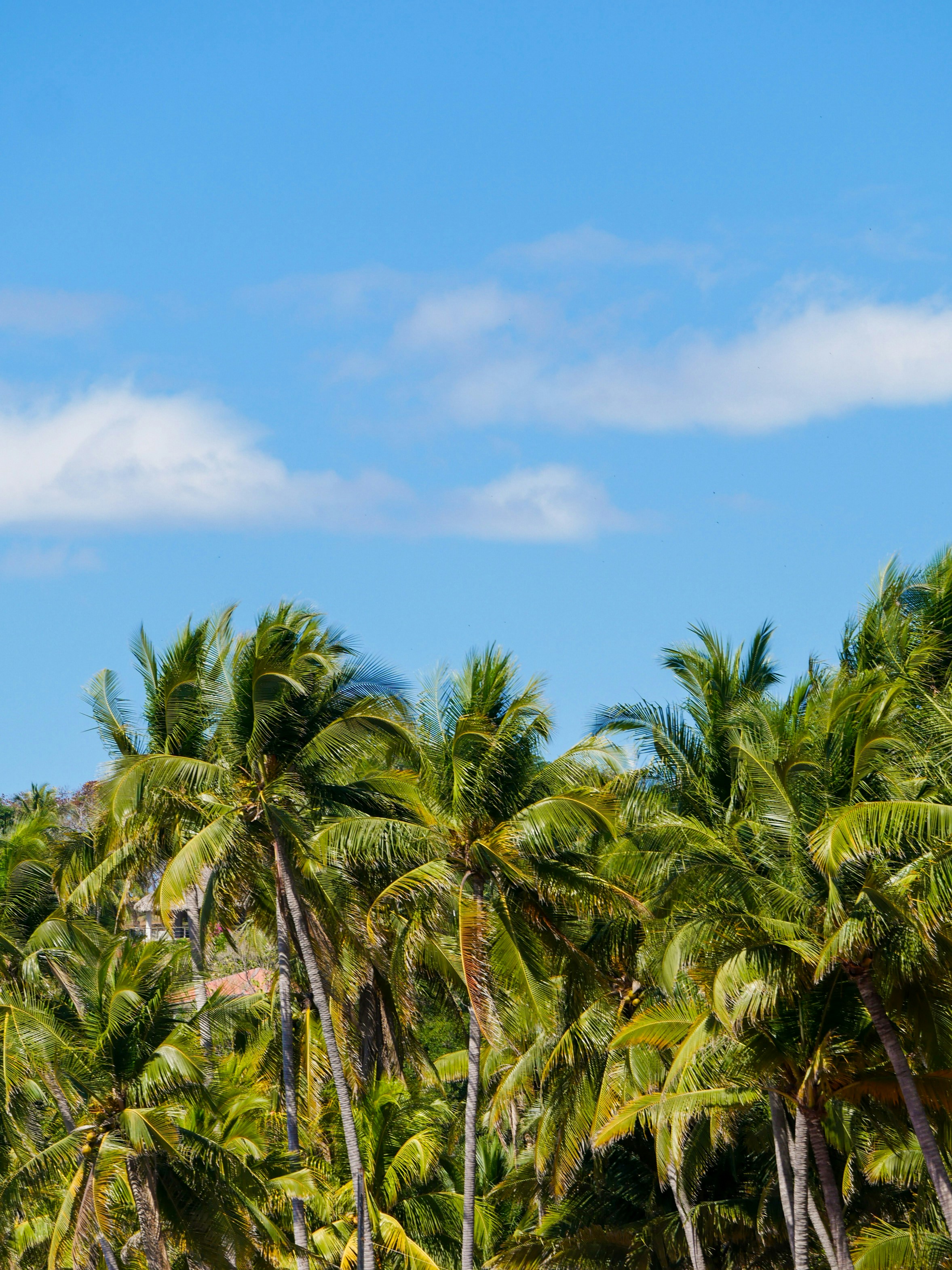 Photo by sophiadidonato