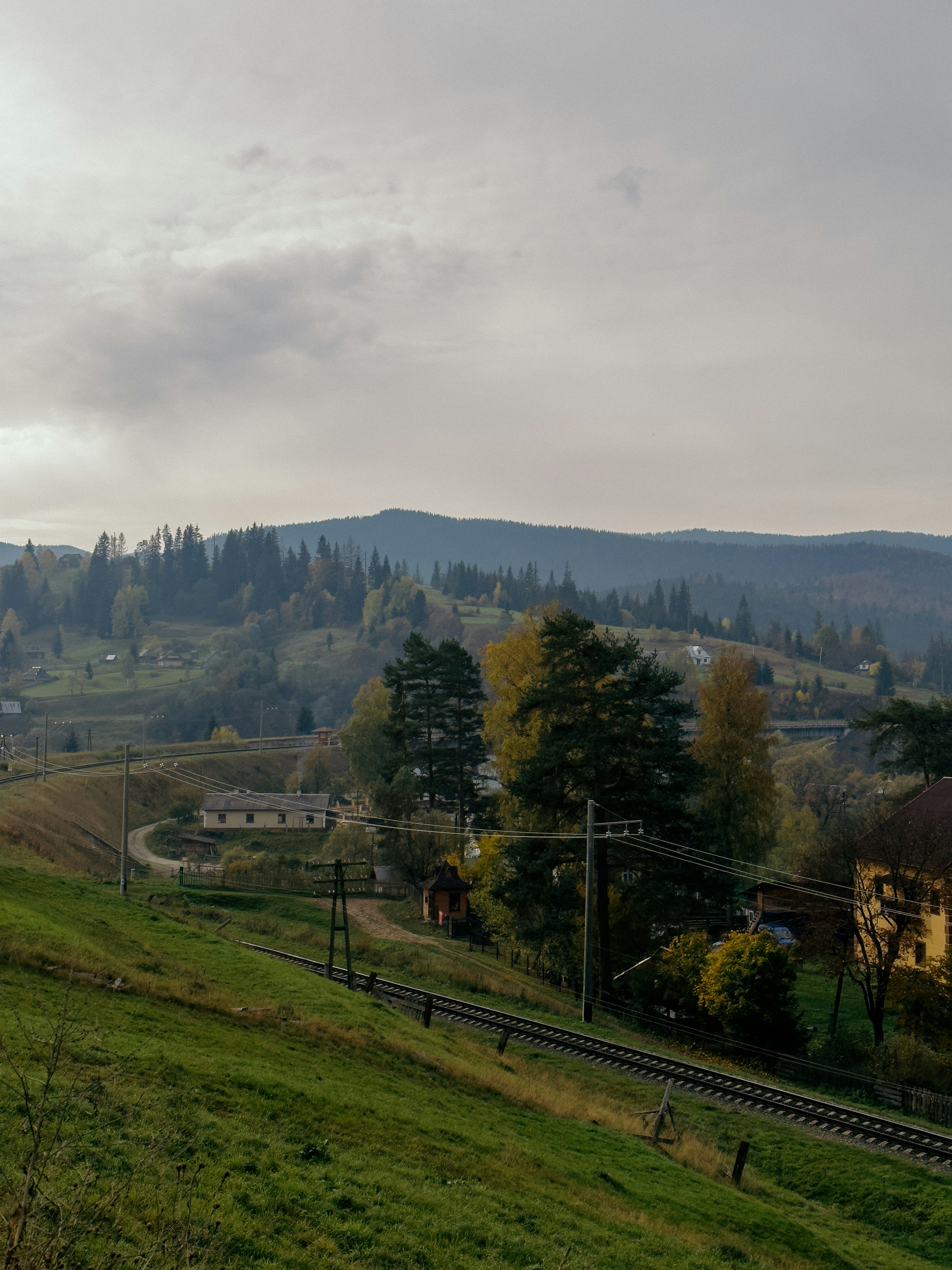Photo by rozanovz