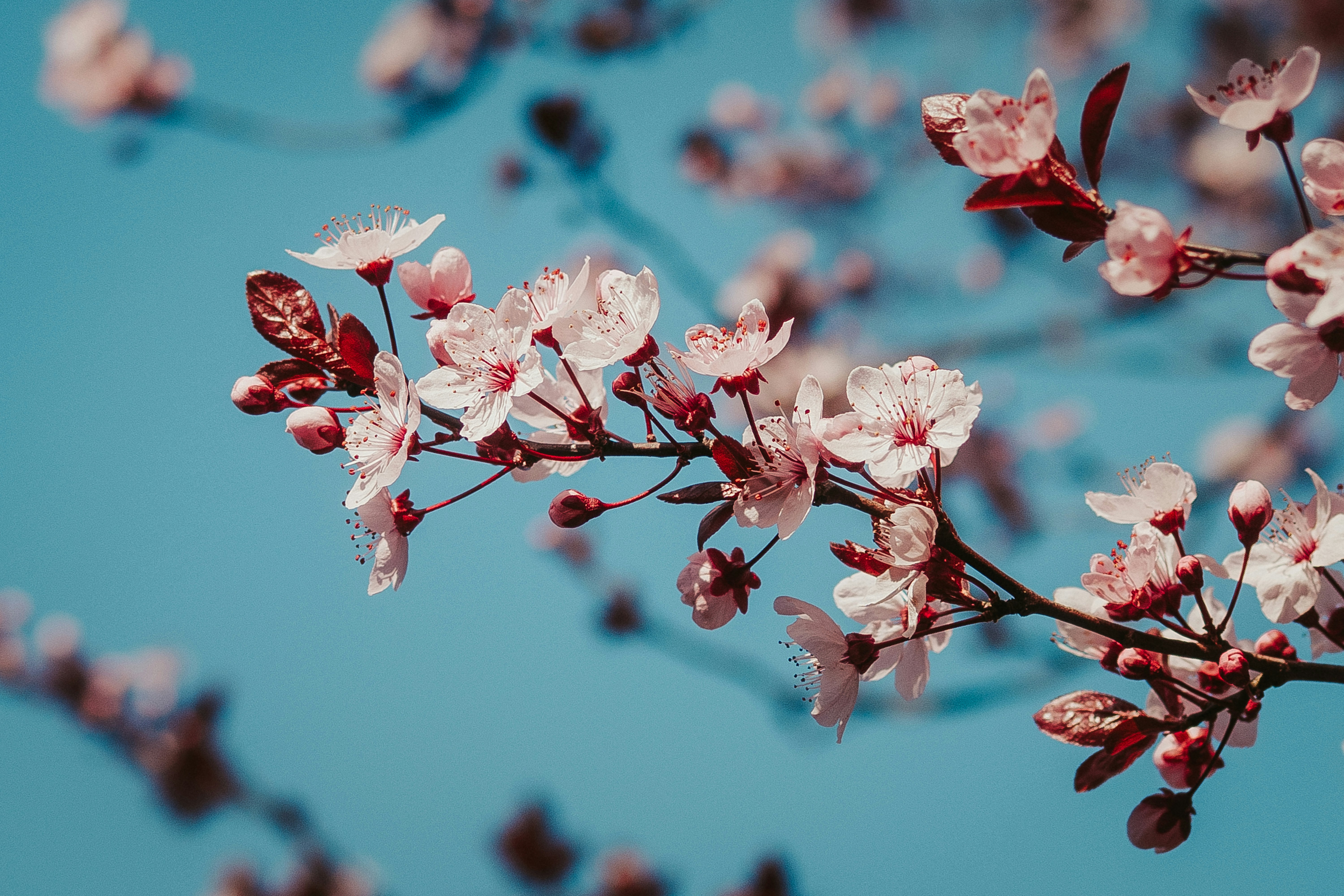 Photo by sinusfiction