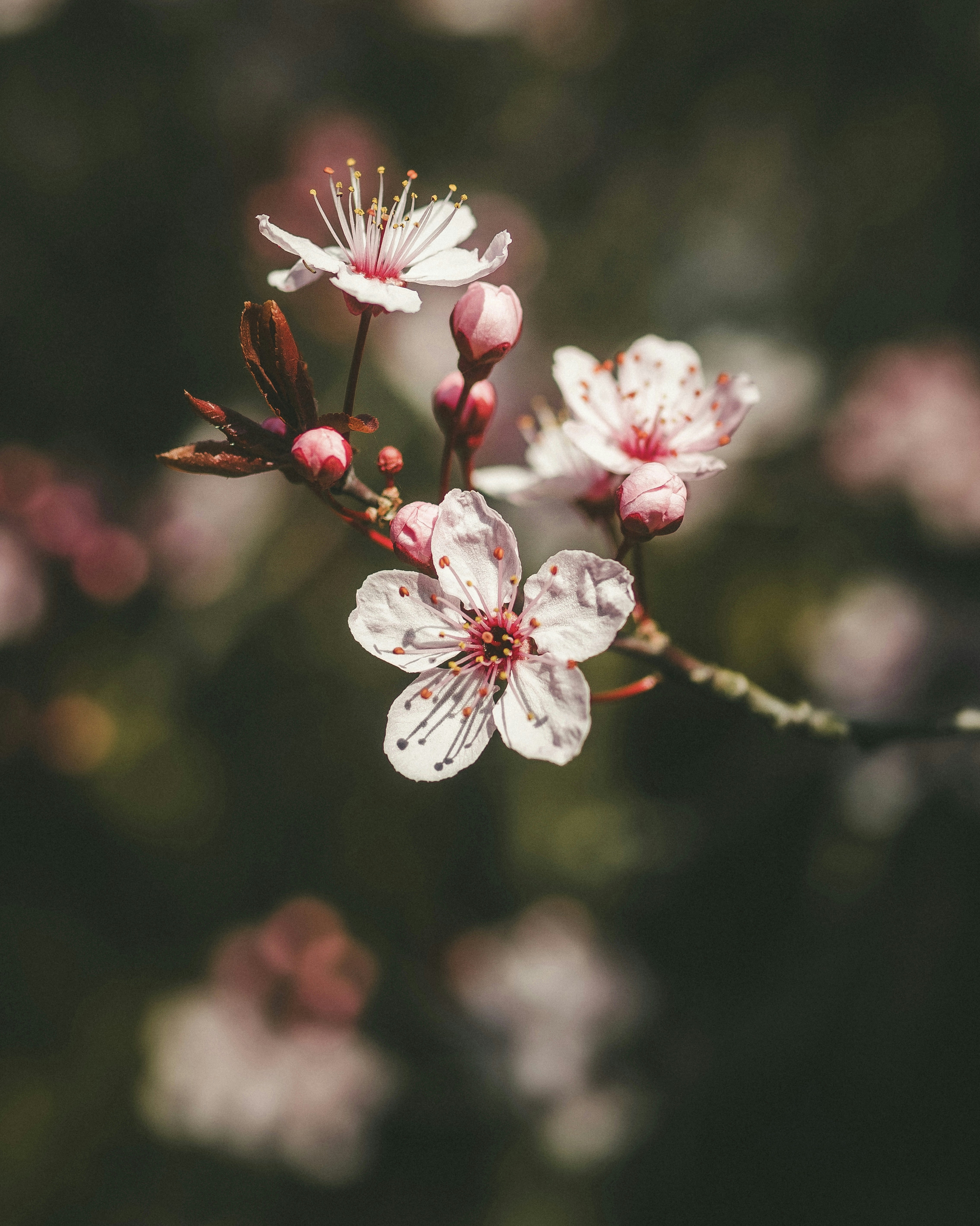 Photo by sinusfiction