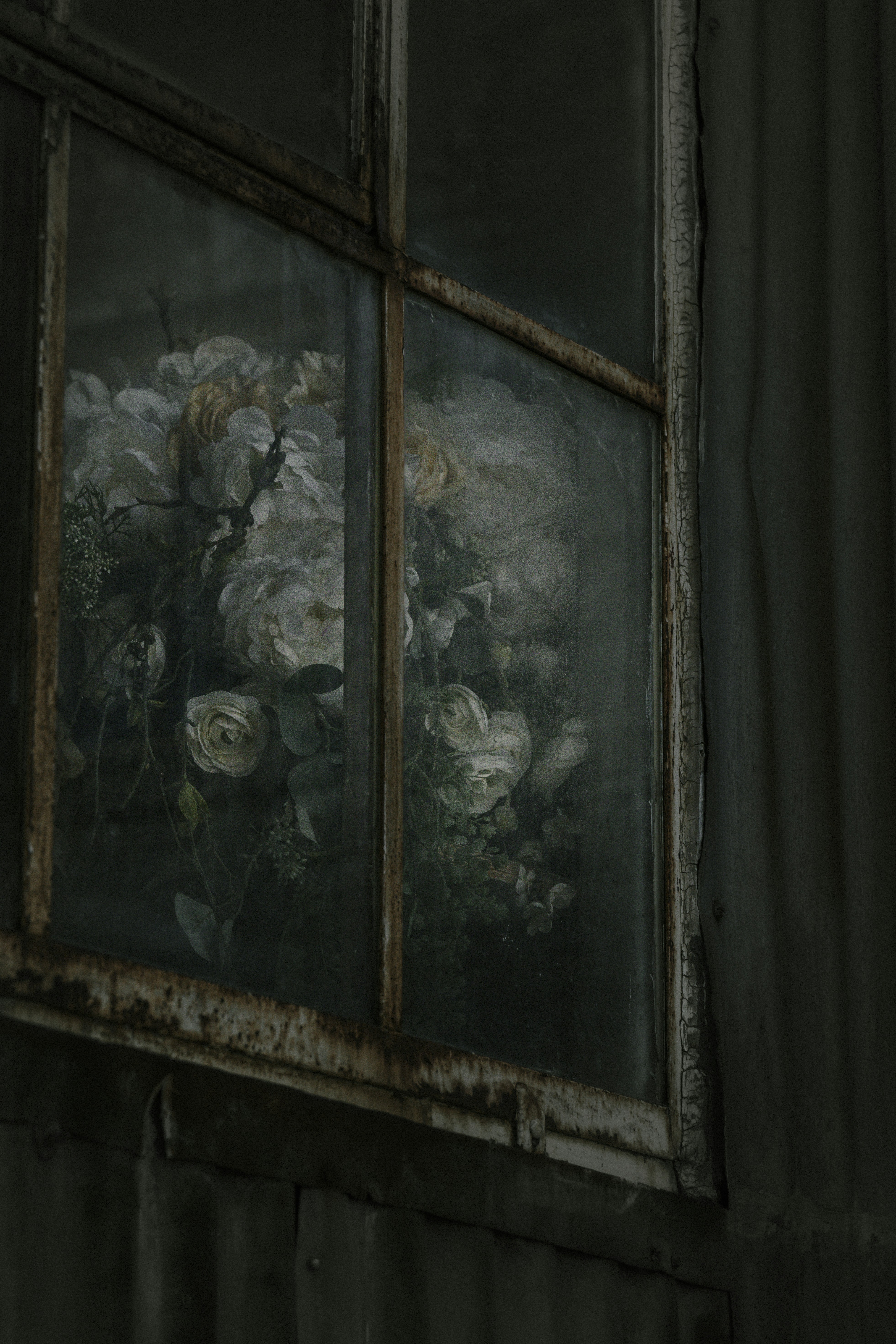 Bouquet of white roses seen through a dusty window.