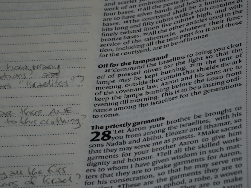 Is Your Job AI-Proof? Find Out Which Side of the 2026 Tech Layoff Wave You're On