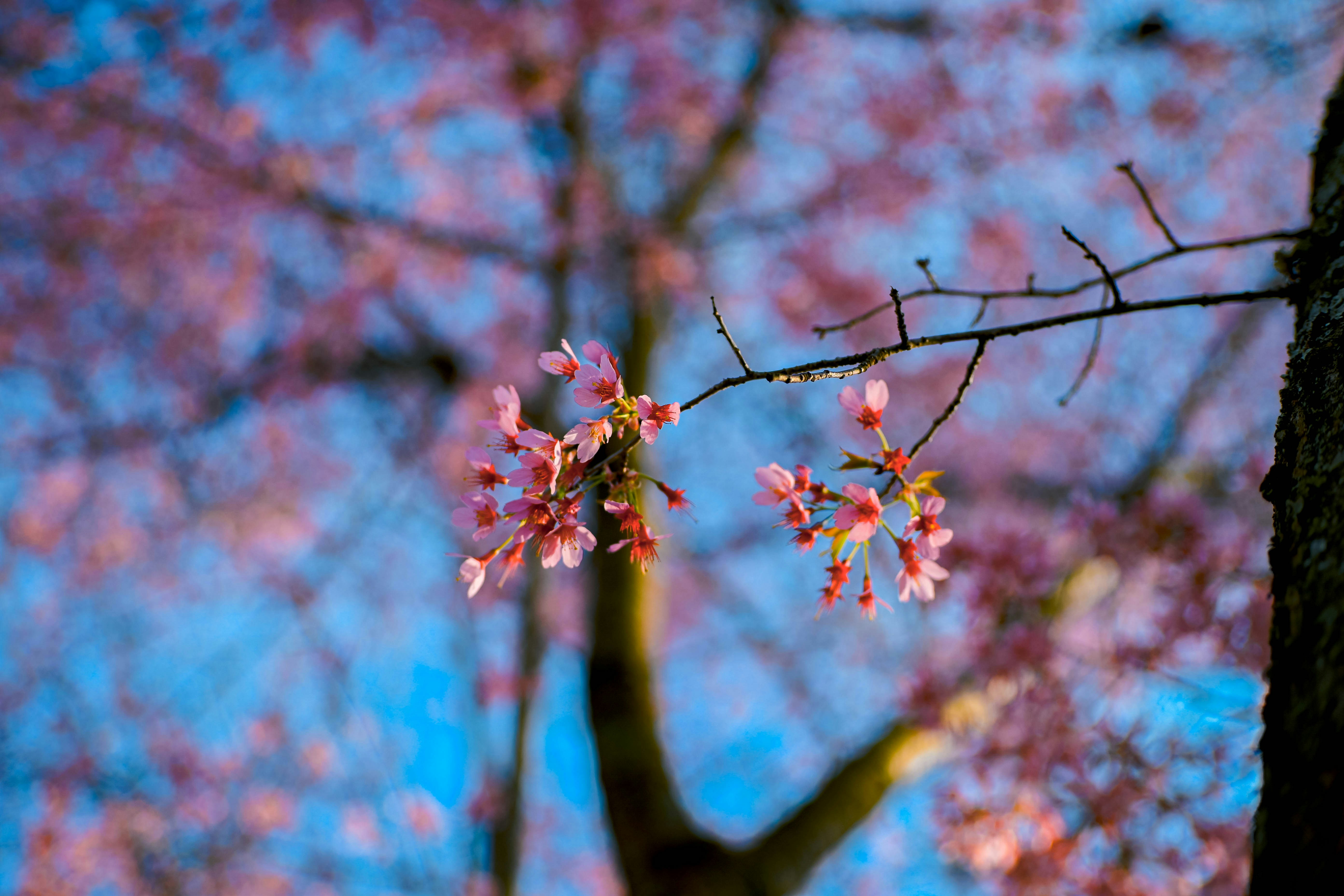 Photo by magicunsplash