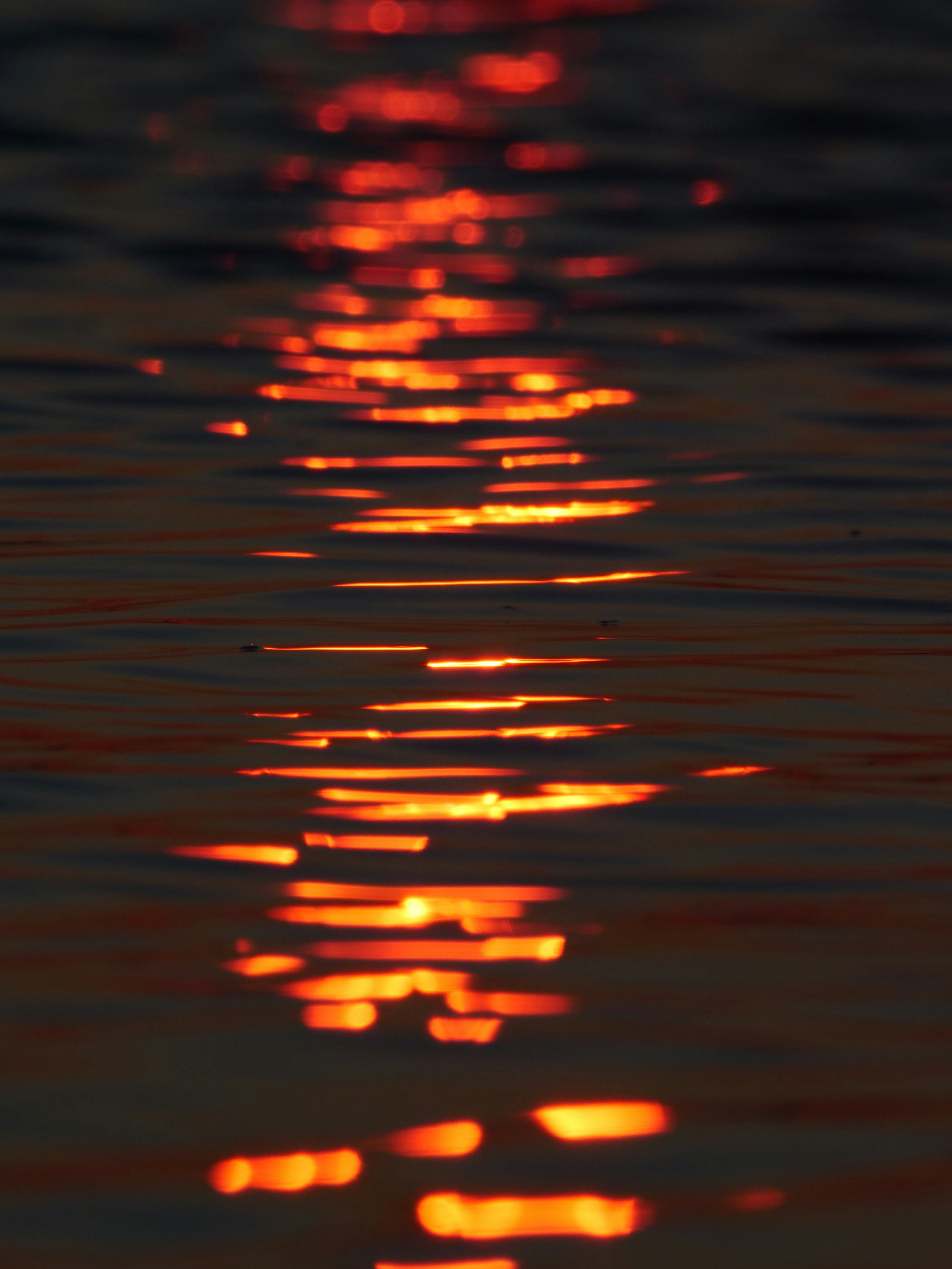 Orange sunlight reflecting on dark water