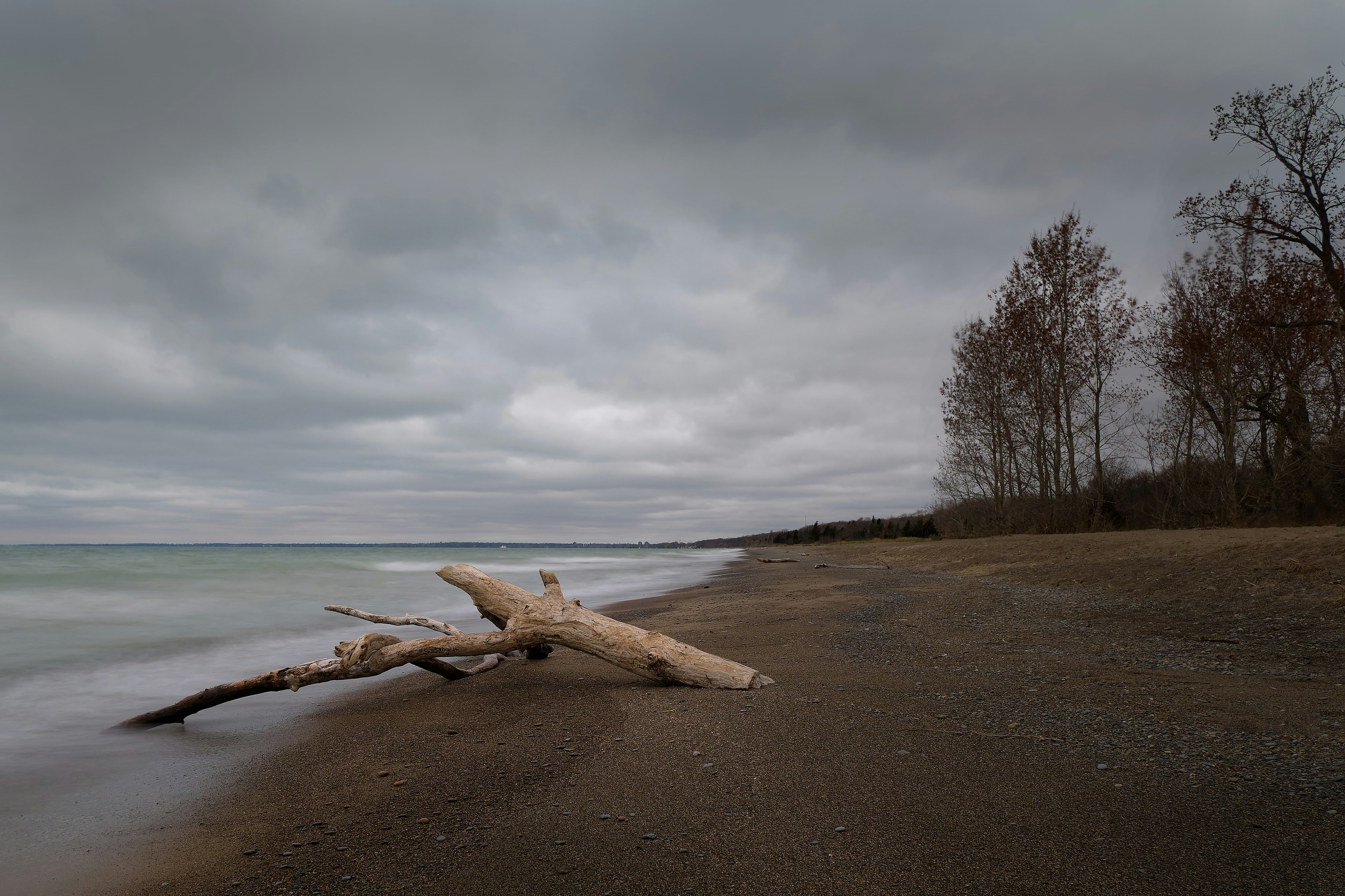 Photo by hswalsh