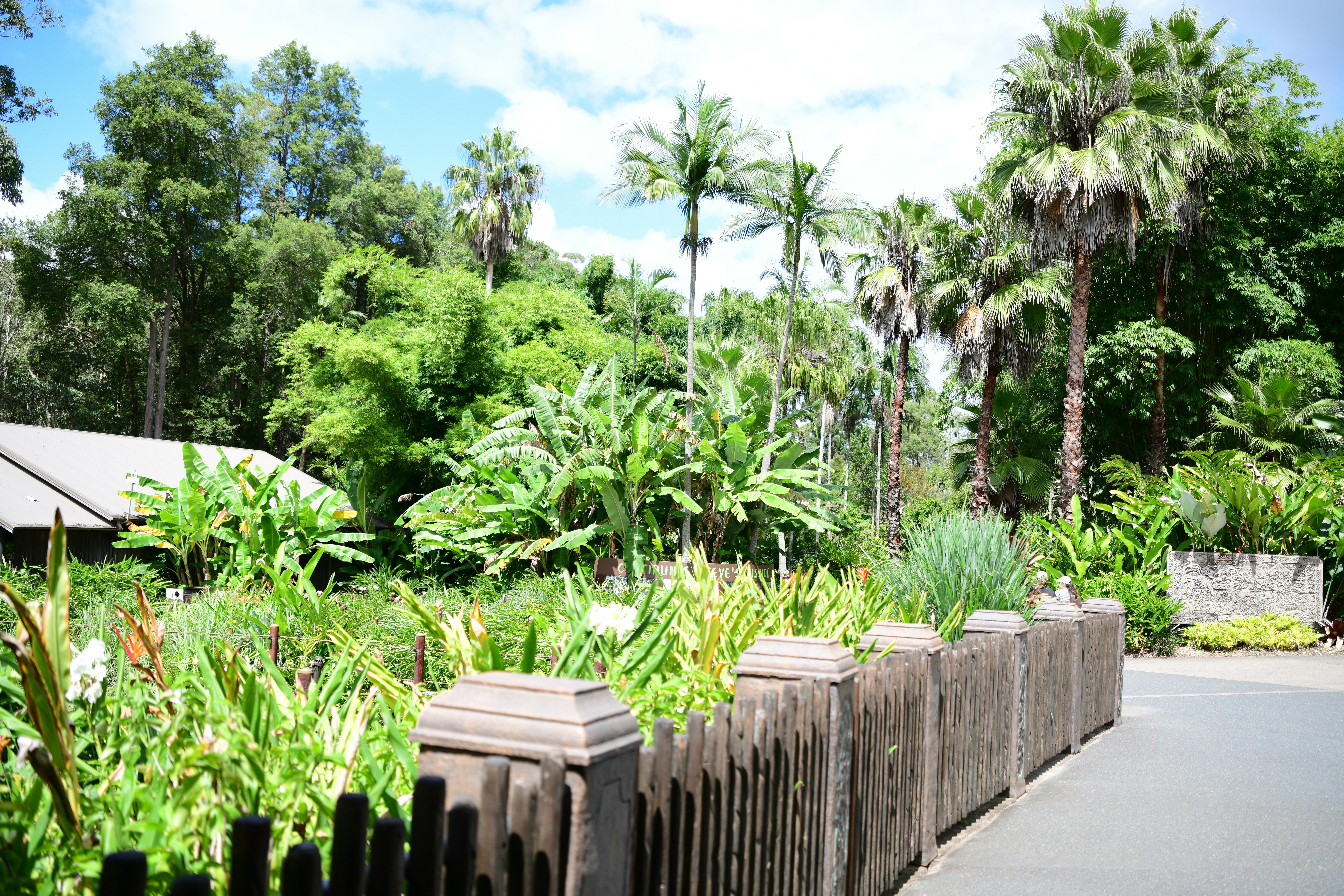 Lush tropical garden with palm trees and wooden fence
