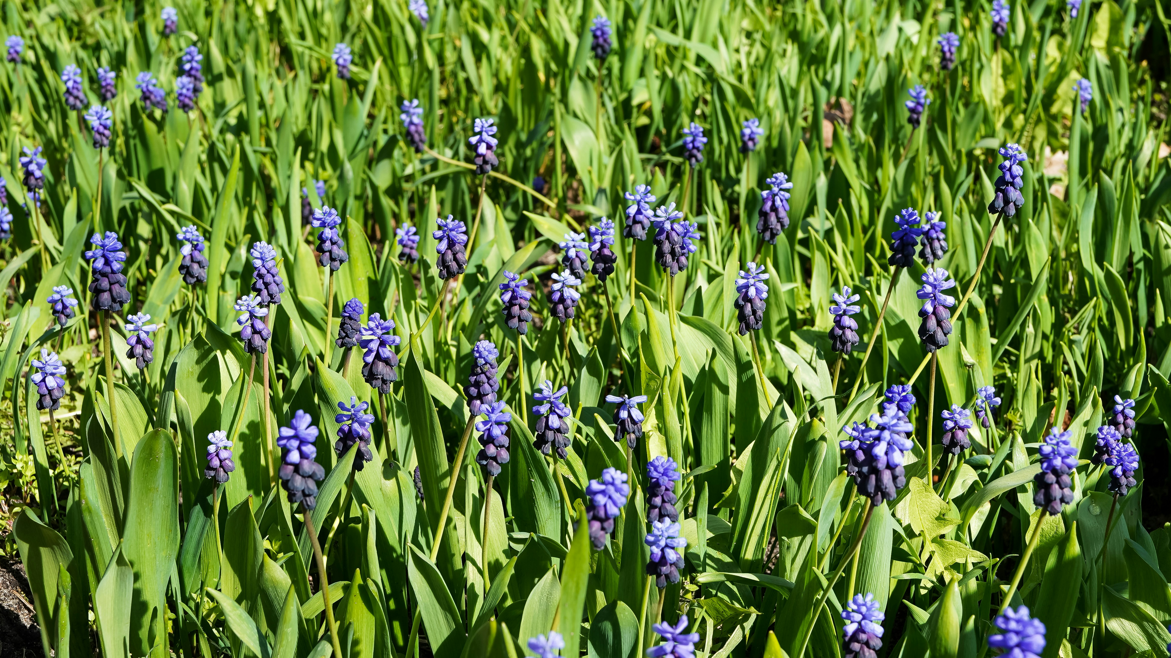 Photo by hamburgmeinefreundin