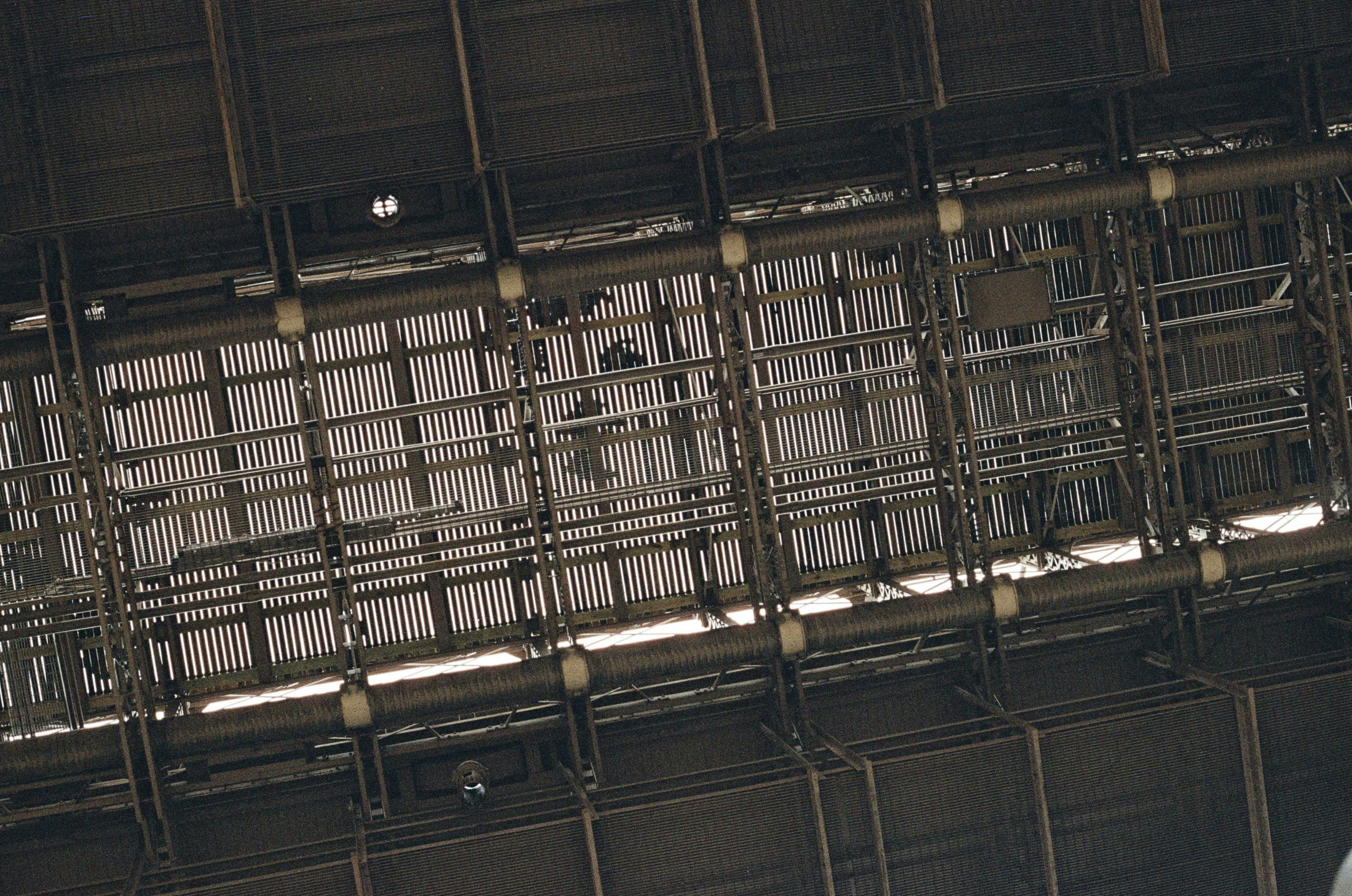 Industrial ceiling with exposed pipes and metal grid