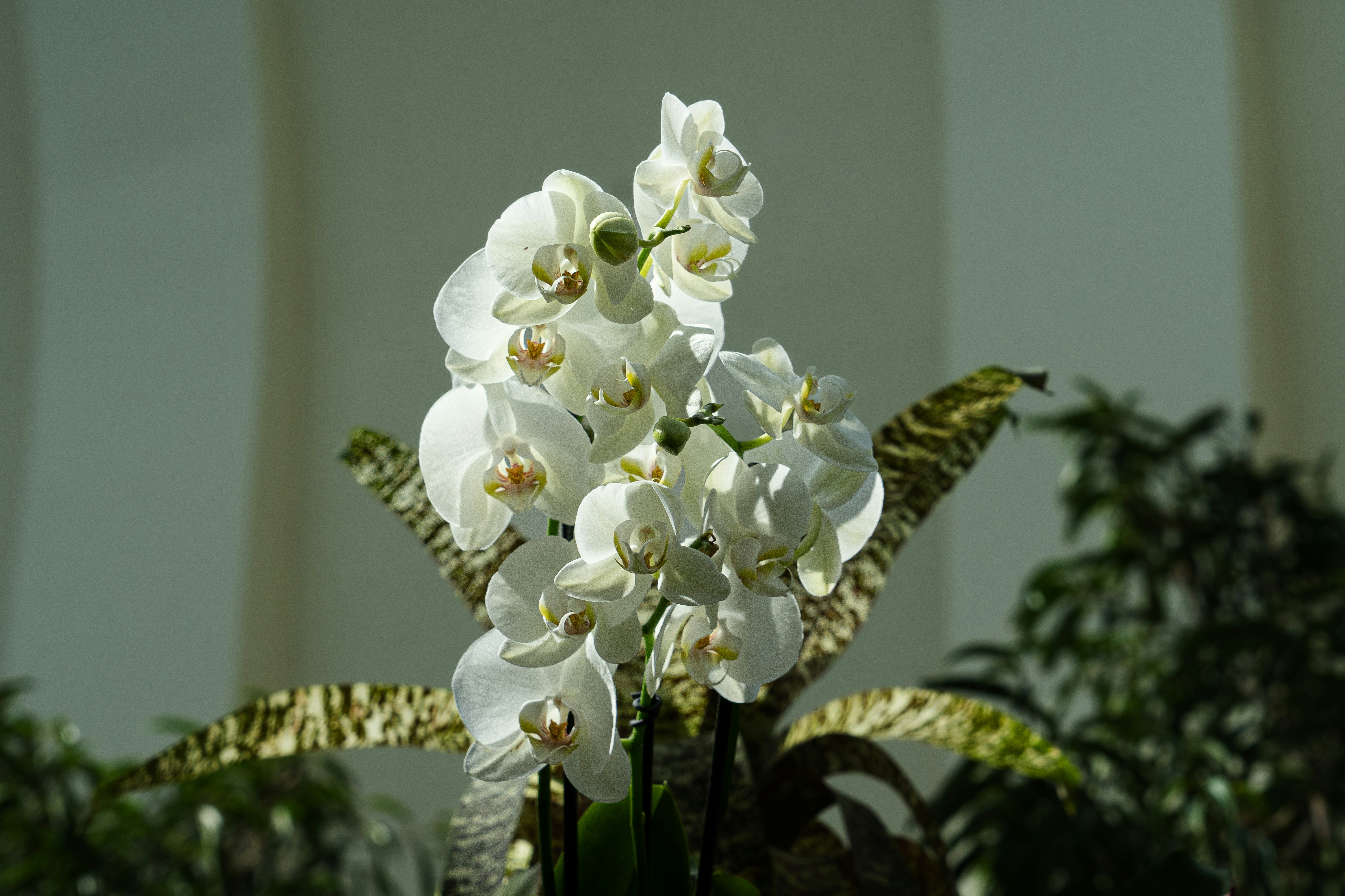 floral home decoration interior natural style
