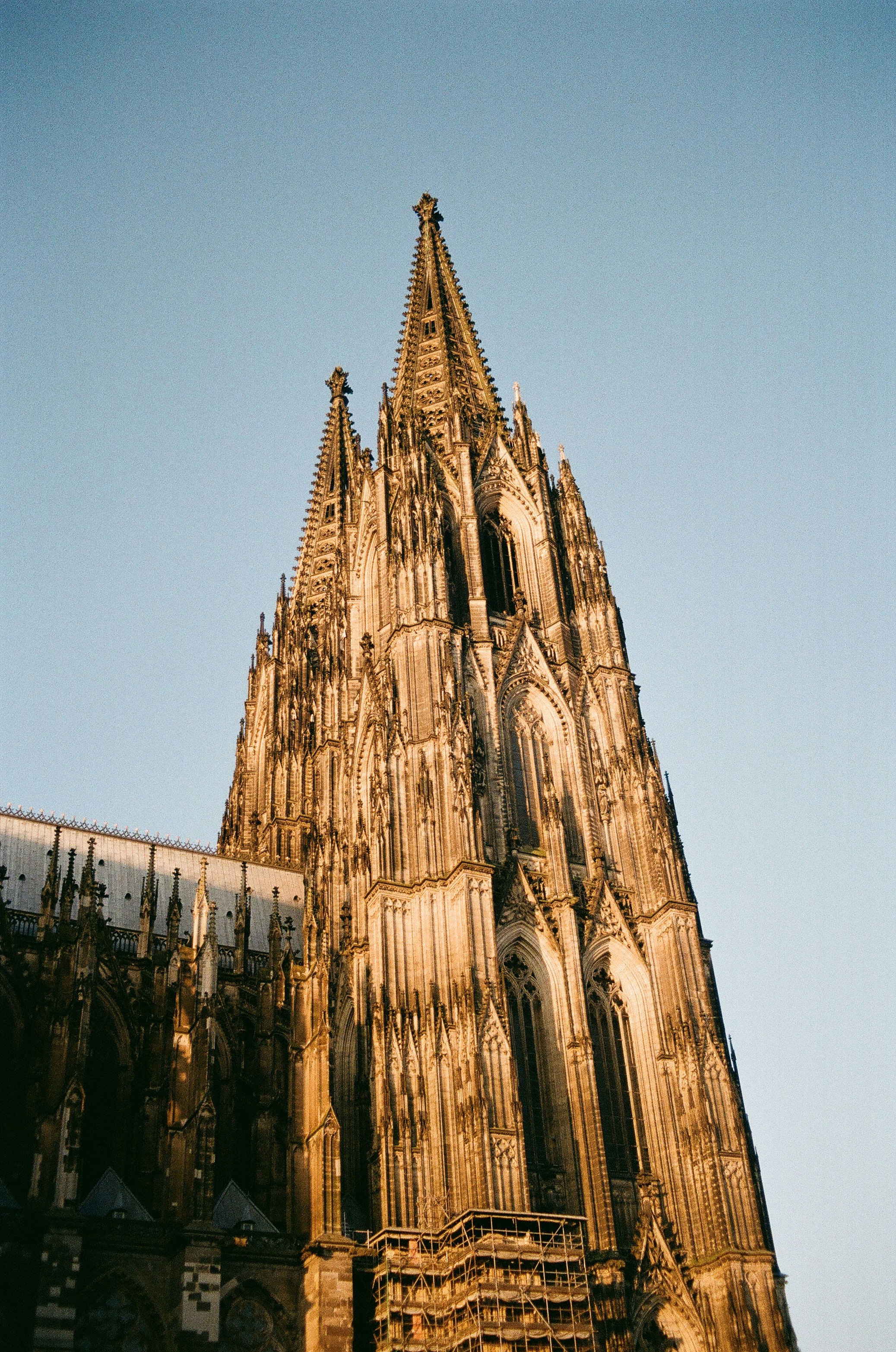 Photo by danicarber