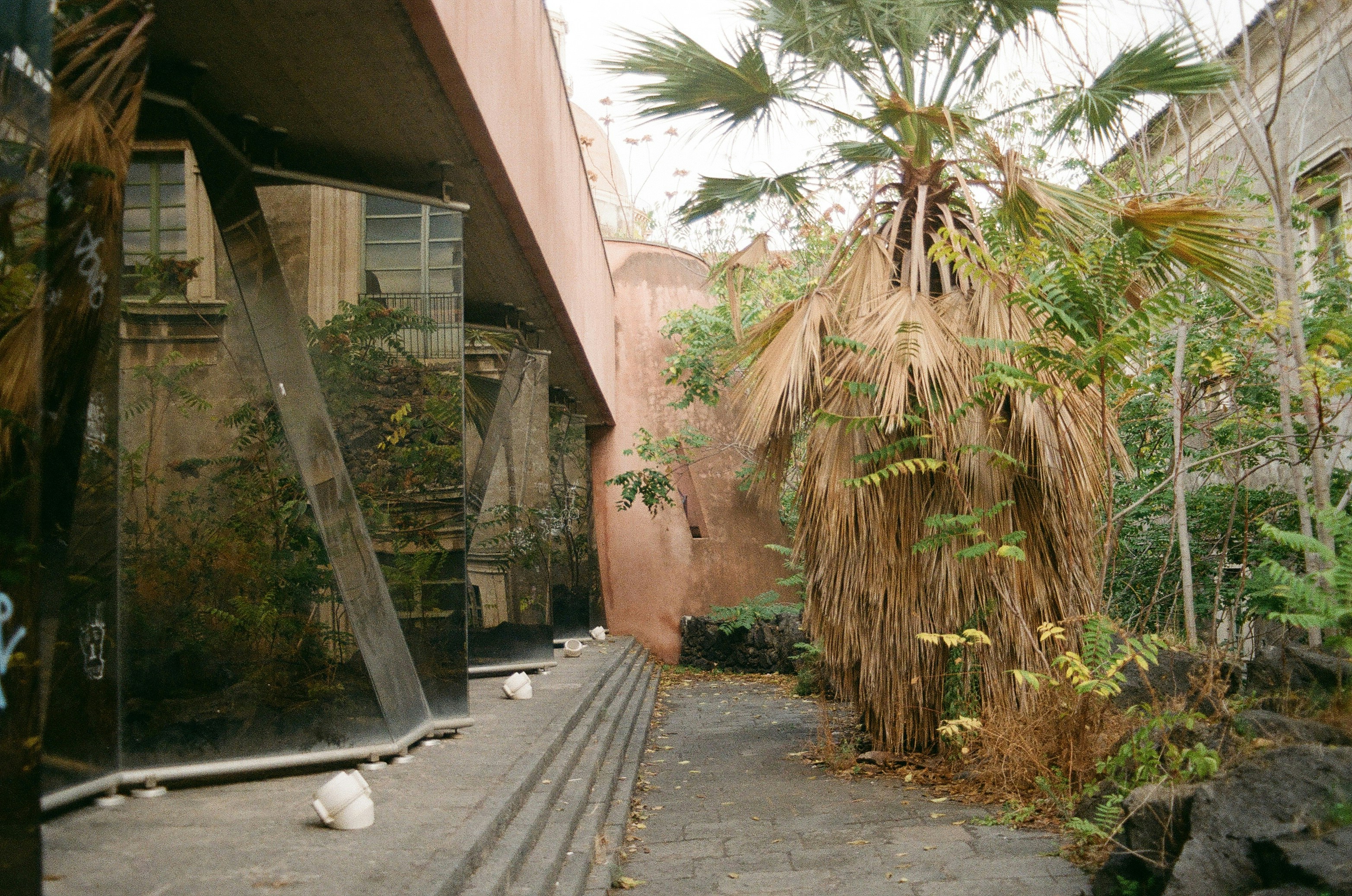 Modern building with glass walls and palm trees