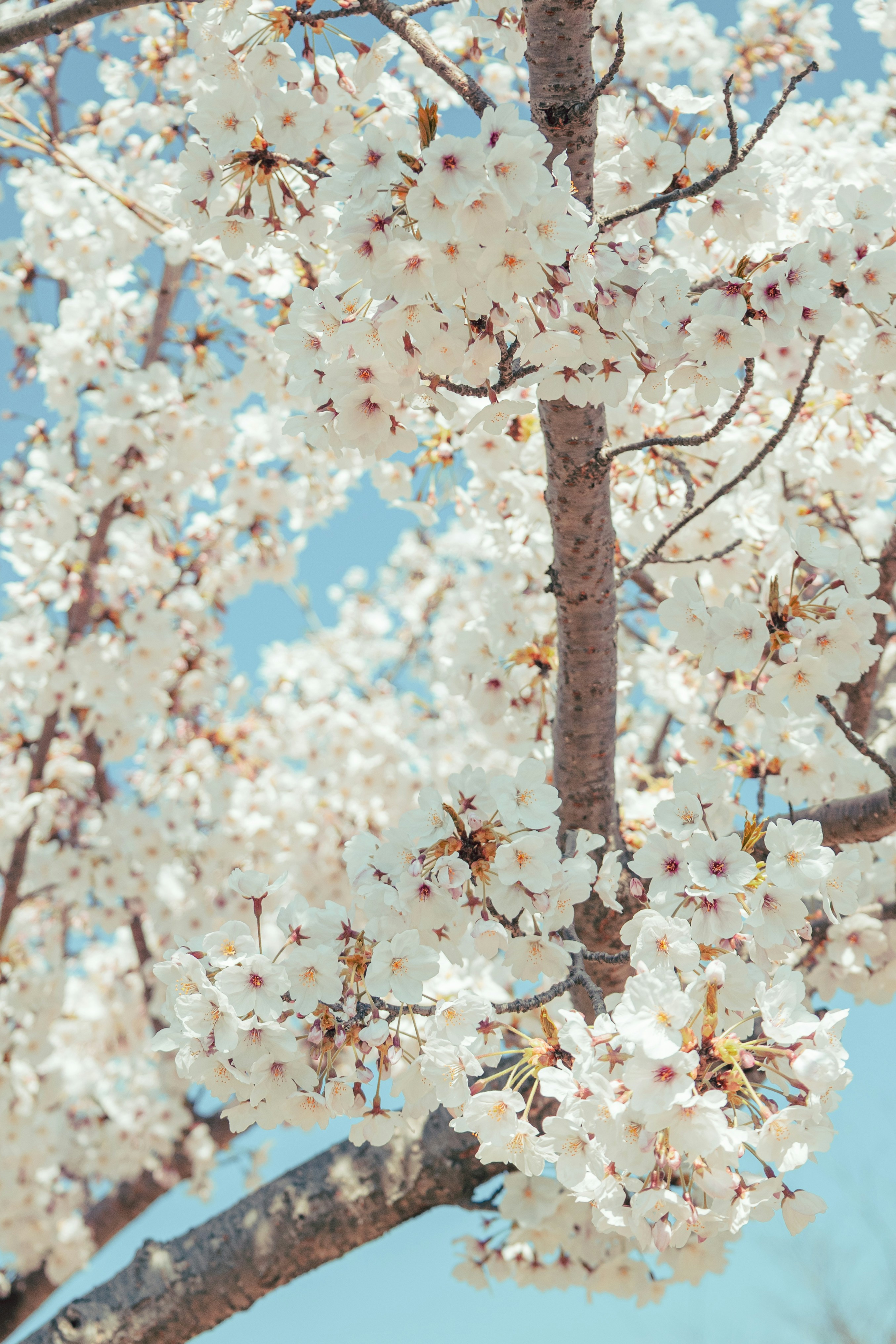 Photo by cuitt