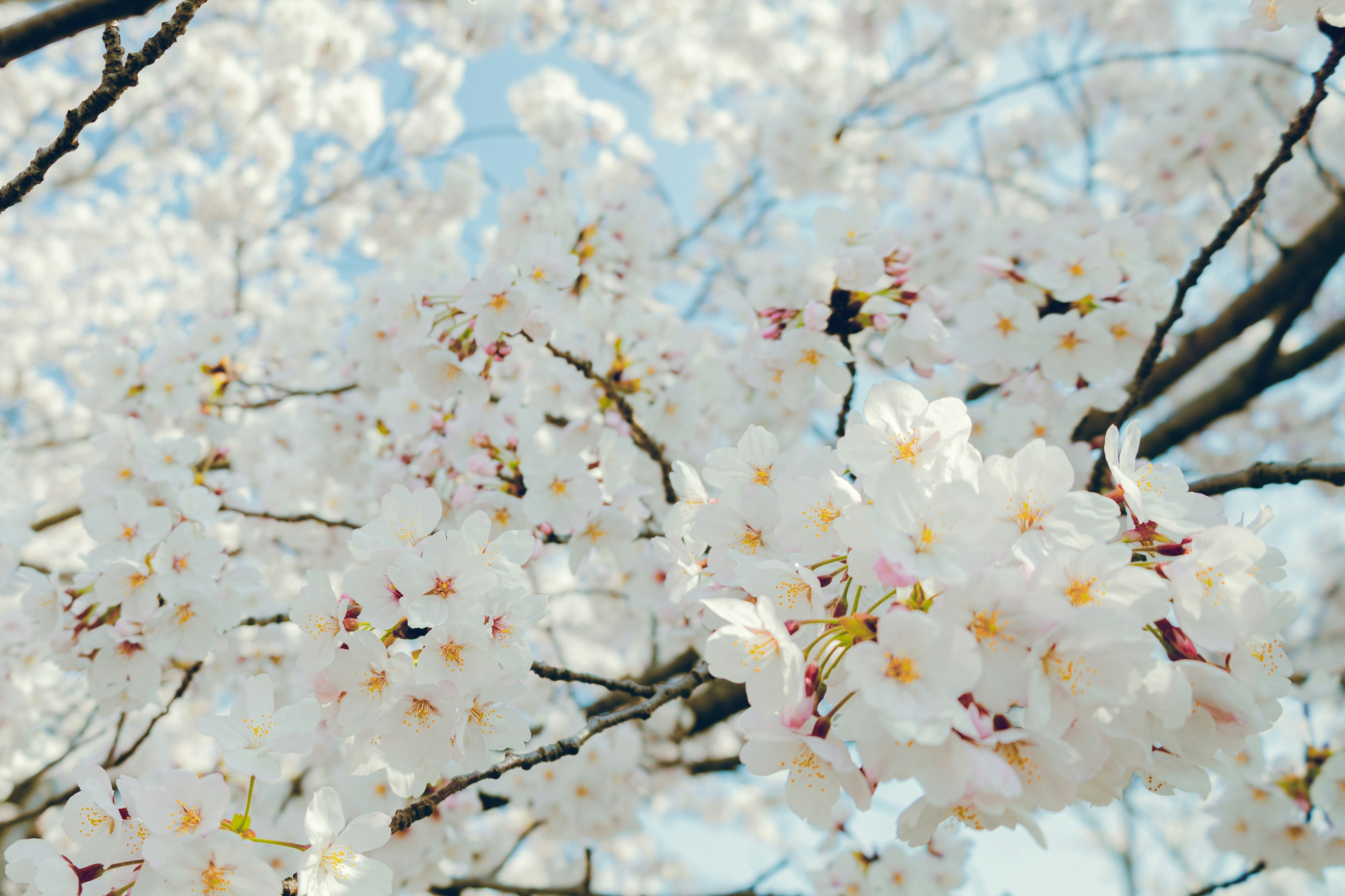 Photo by cuitt