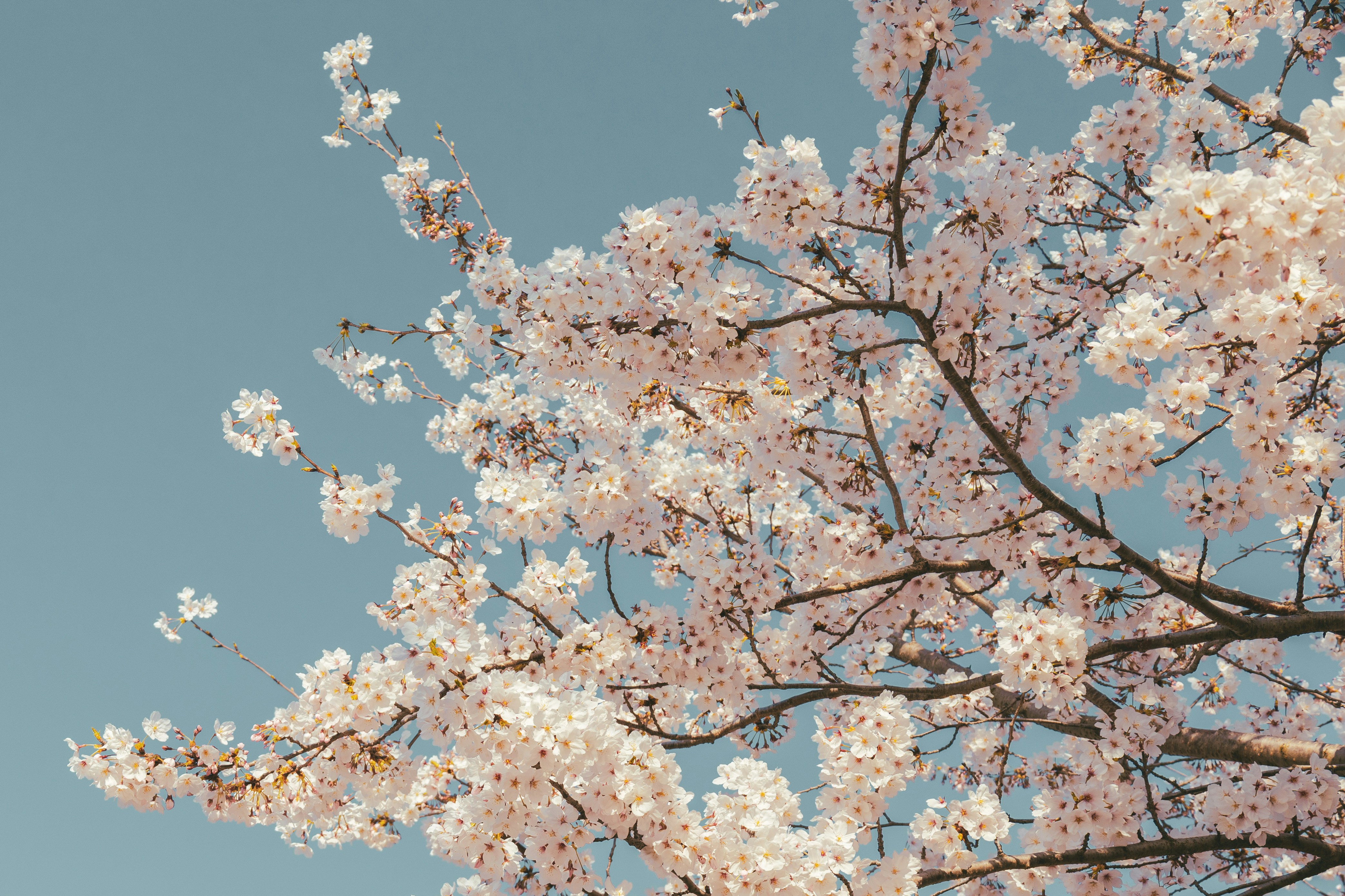 Photo by cuitt