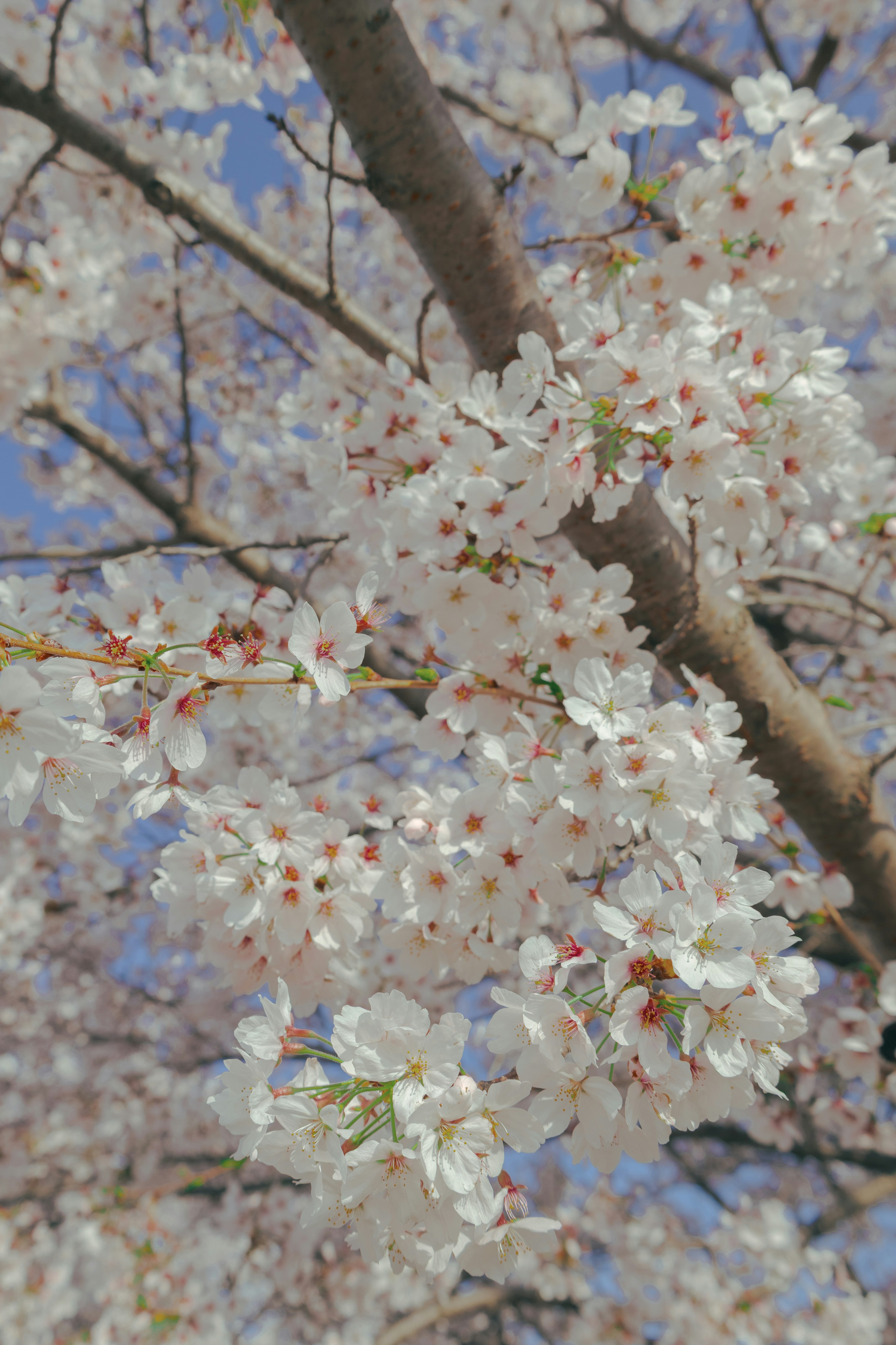 Photo by cuitt