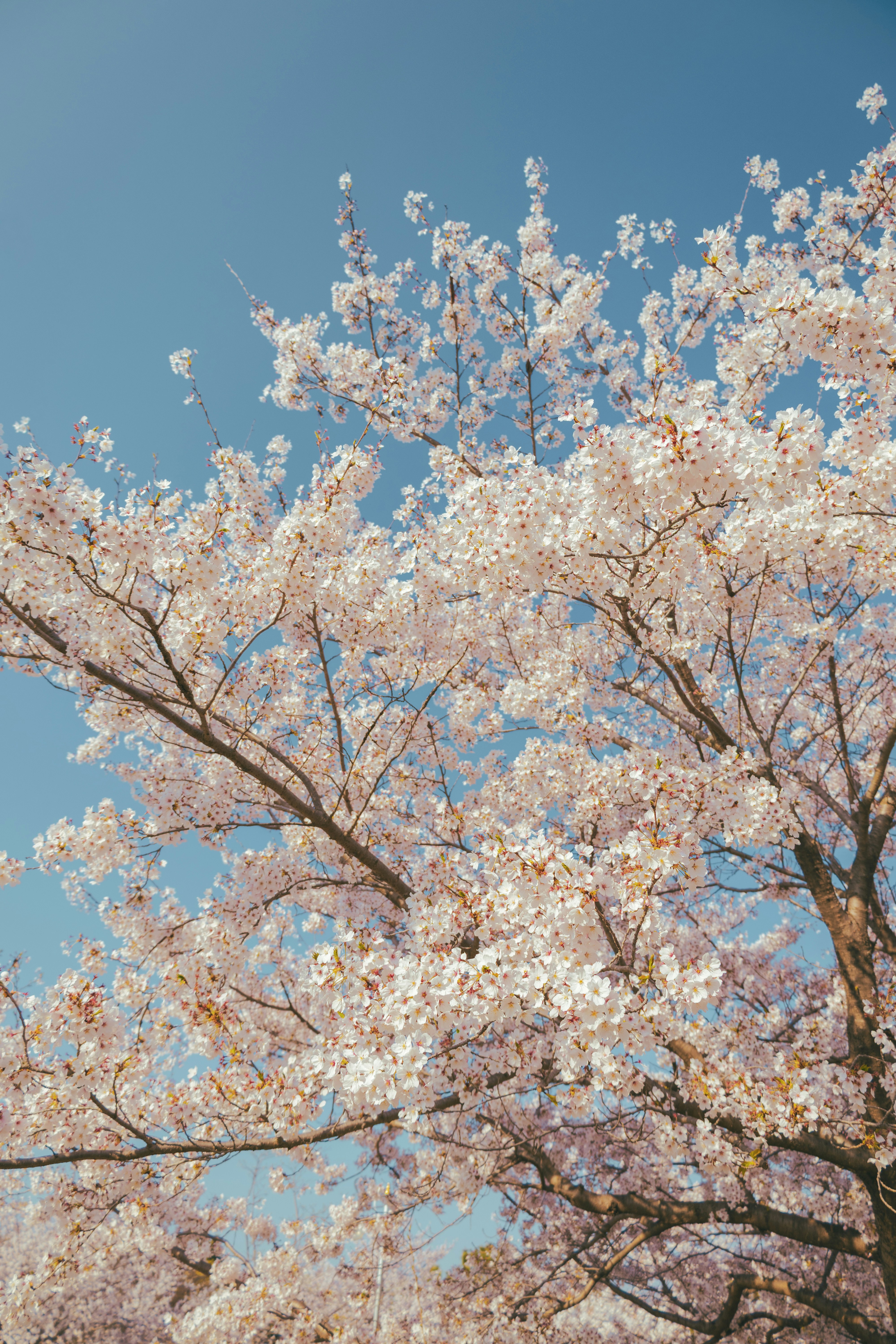 Photo by cuitt