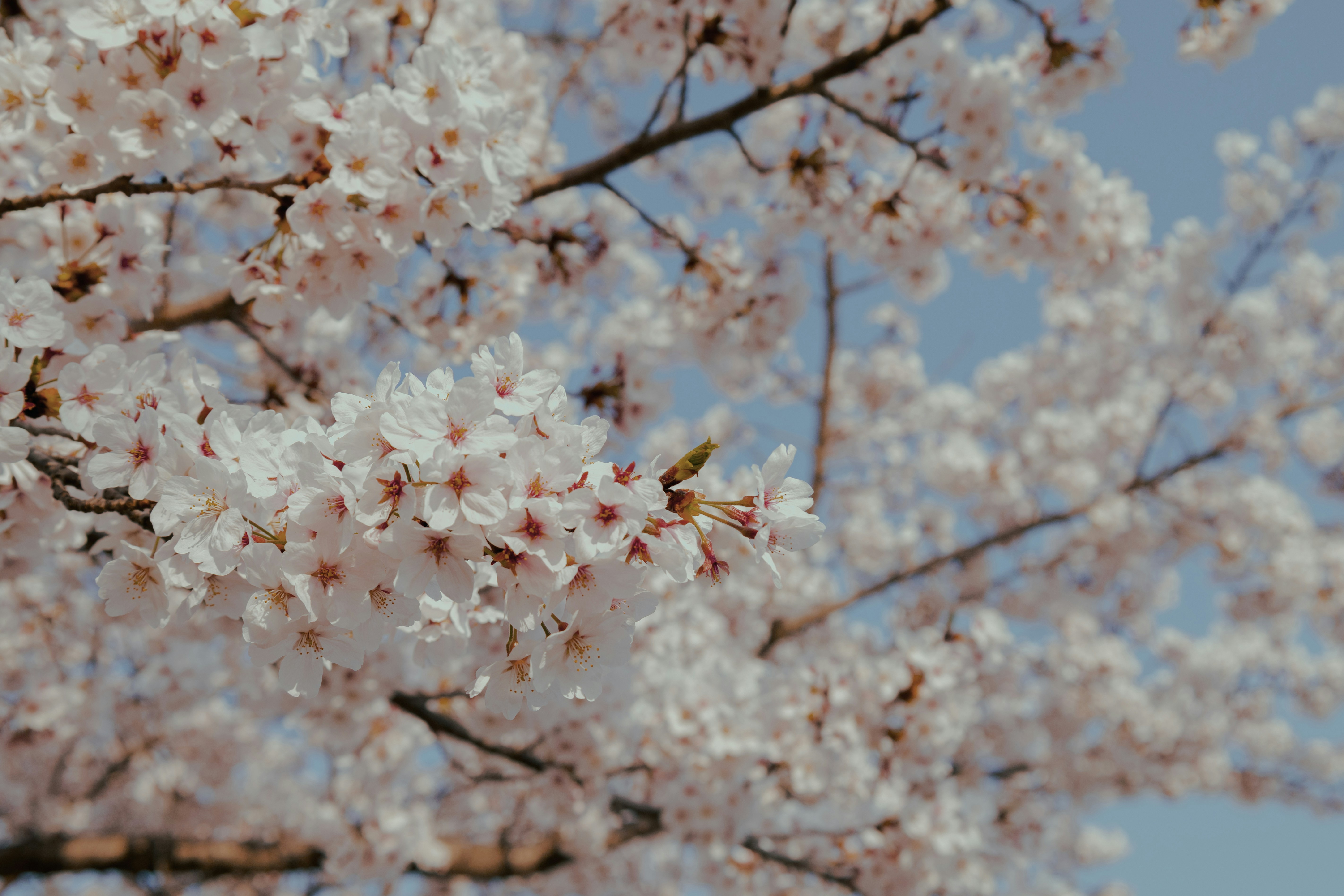 Photo by cuitt