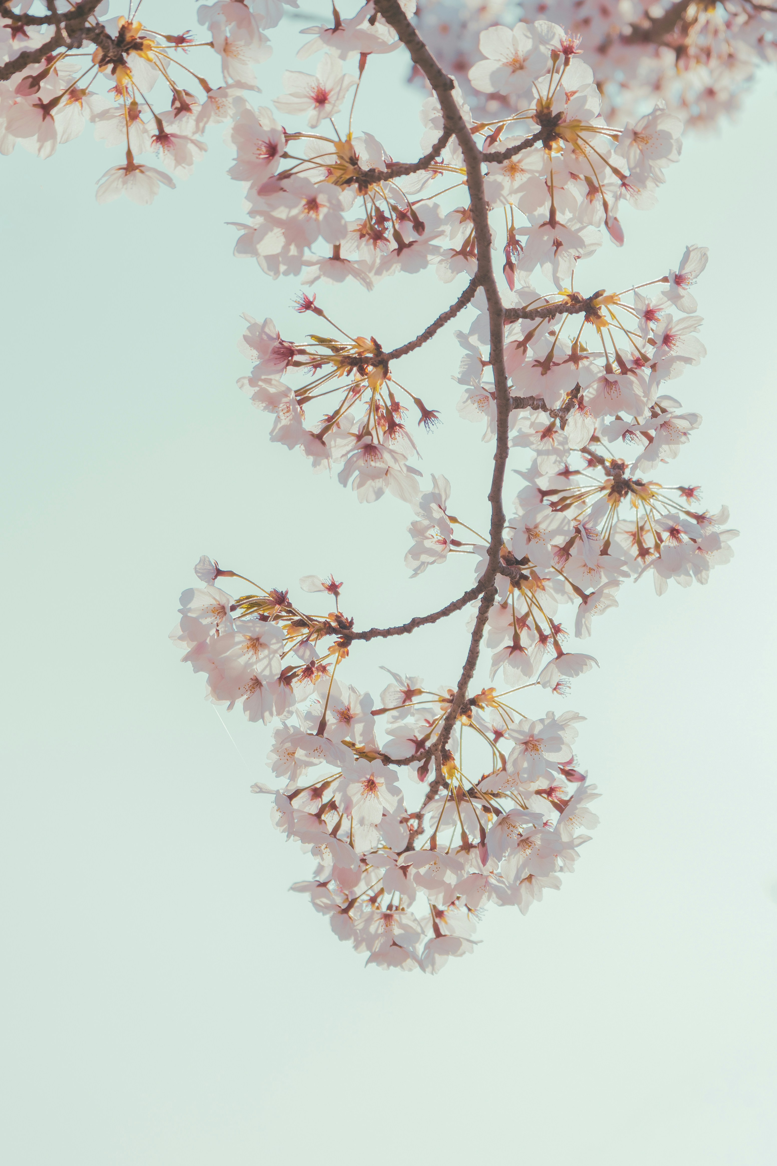 Photo by cuitt