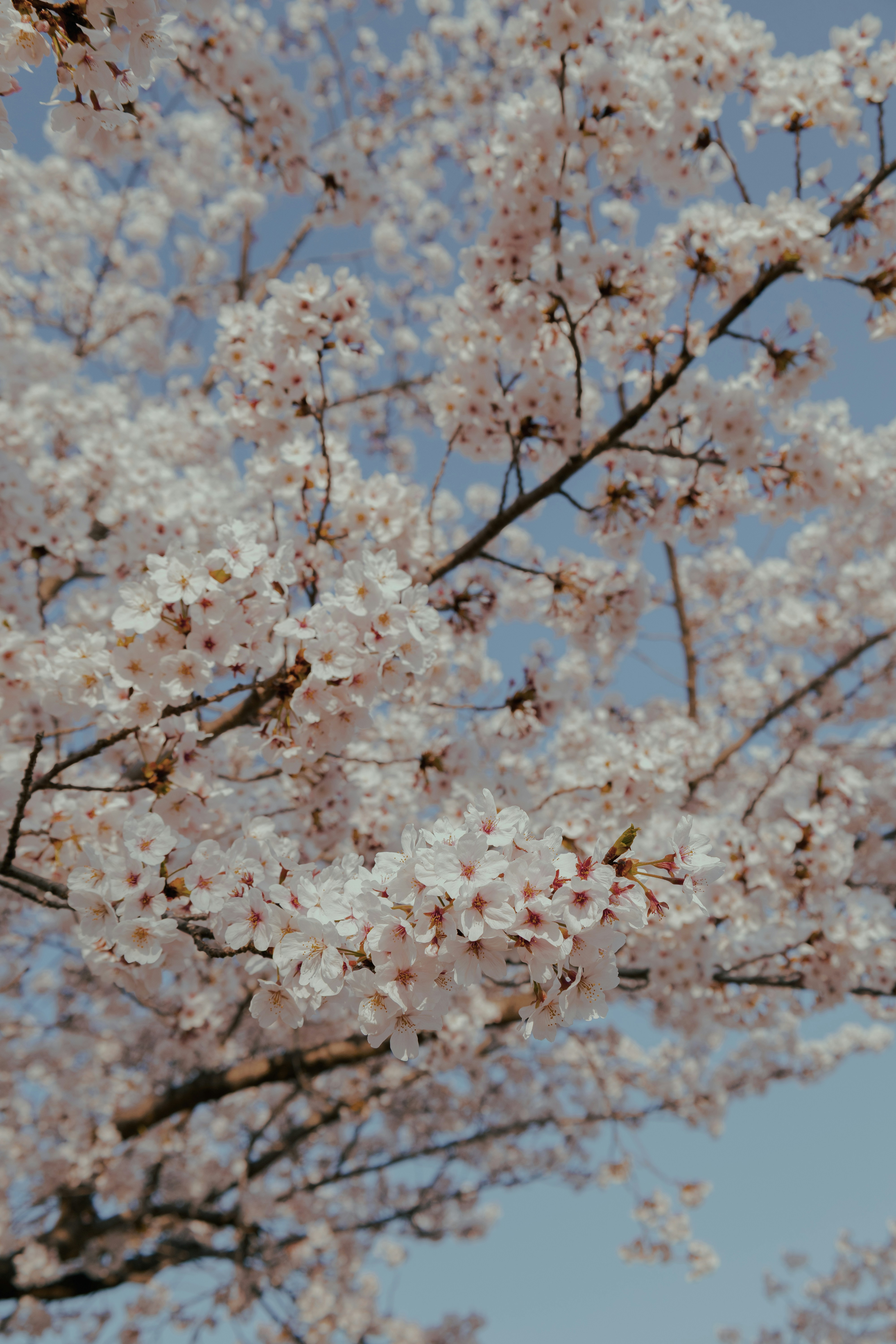 Photo by cuitt