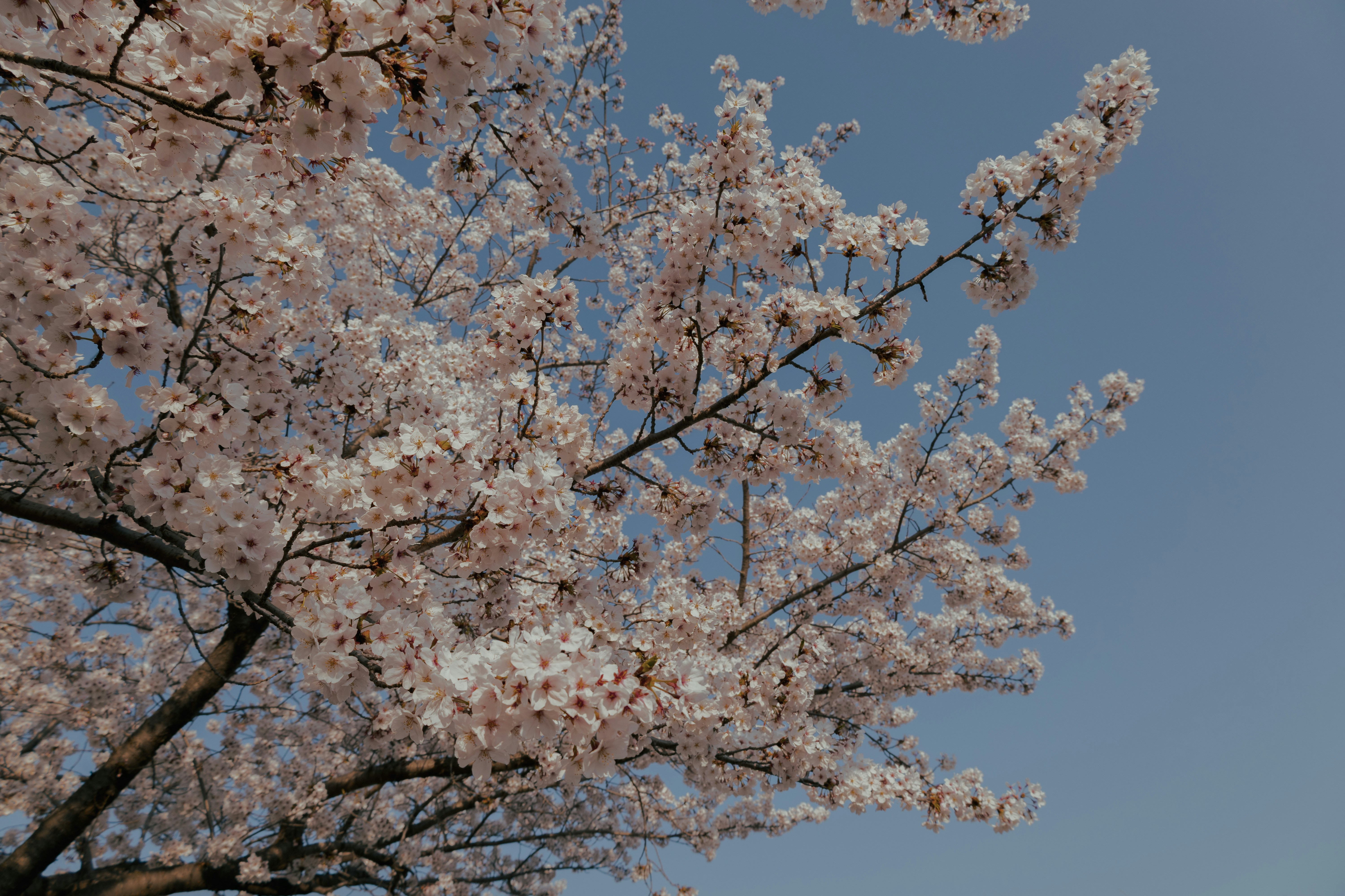 Photo by cuitt