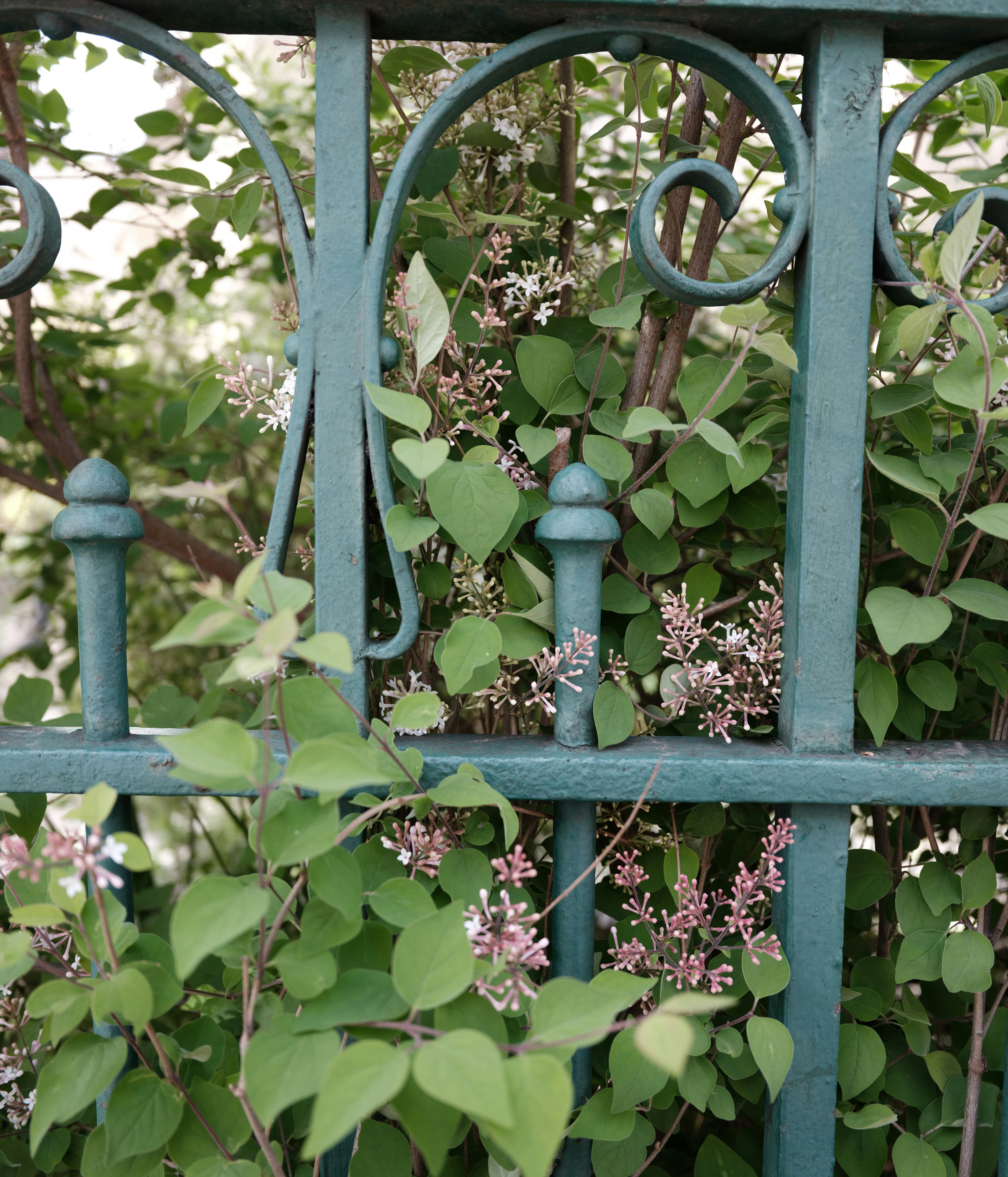 Photo by tanyabarrow